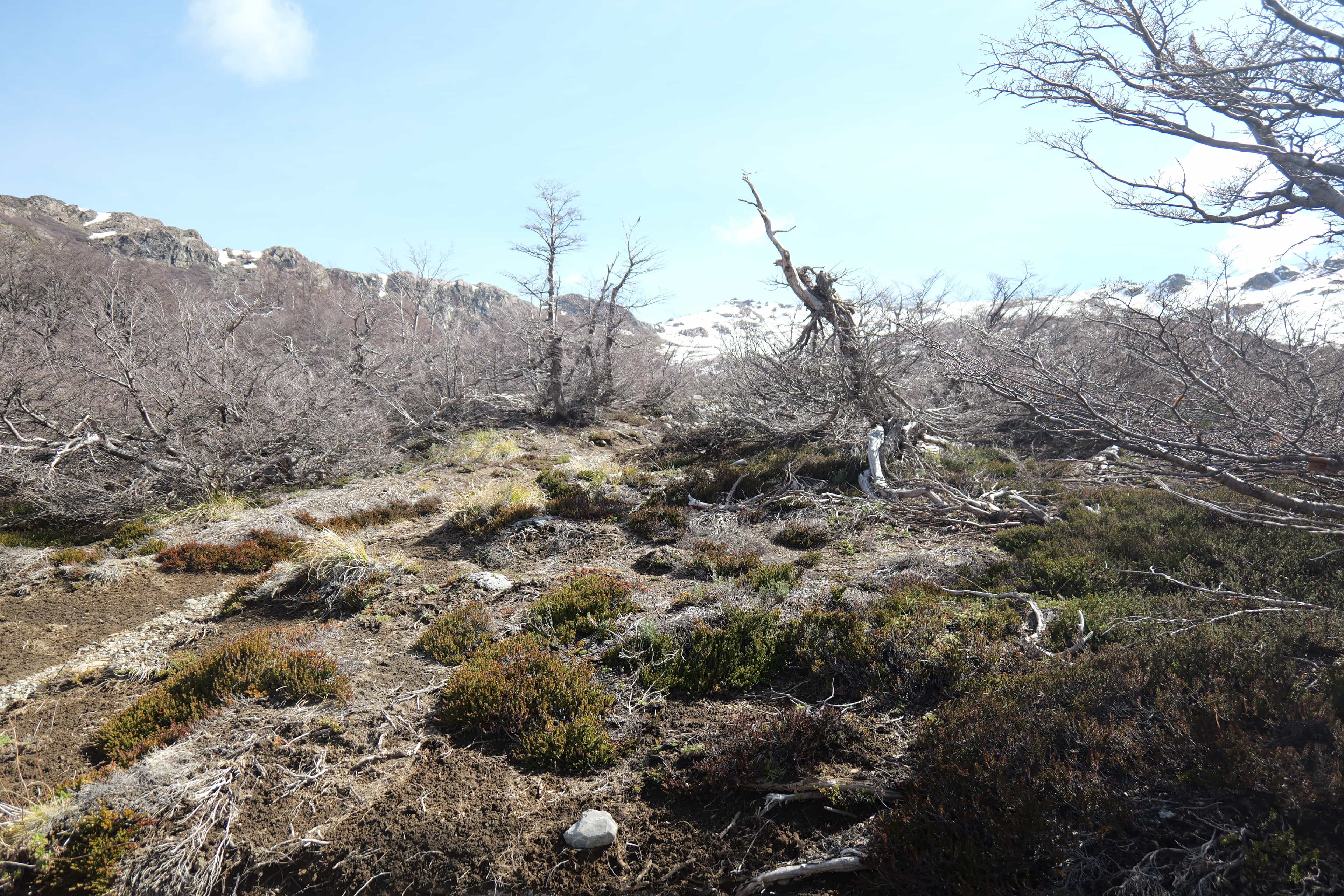 Photo 24 from Bariloche