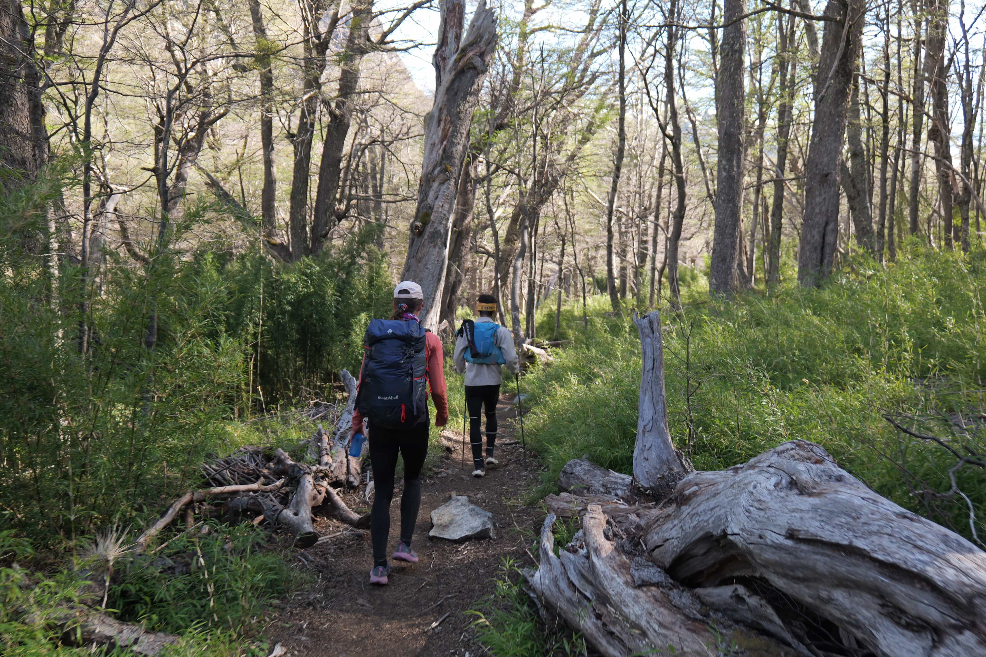 Photo 51 from Bariloche