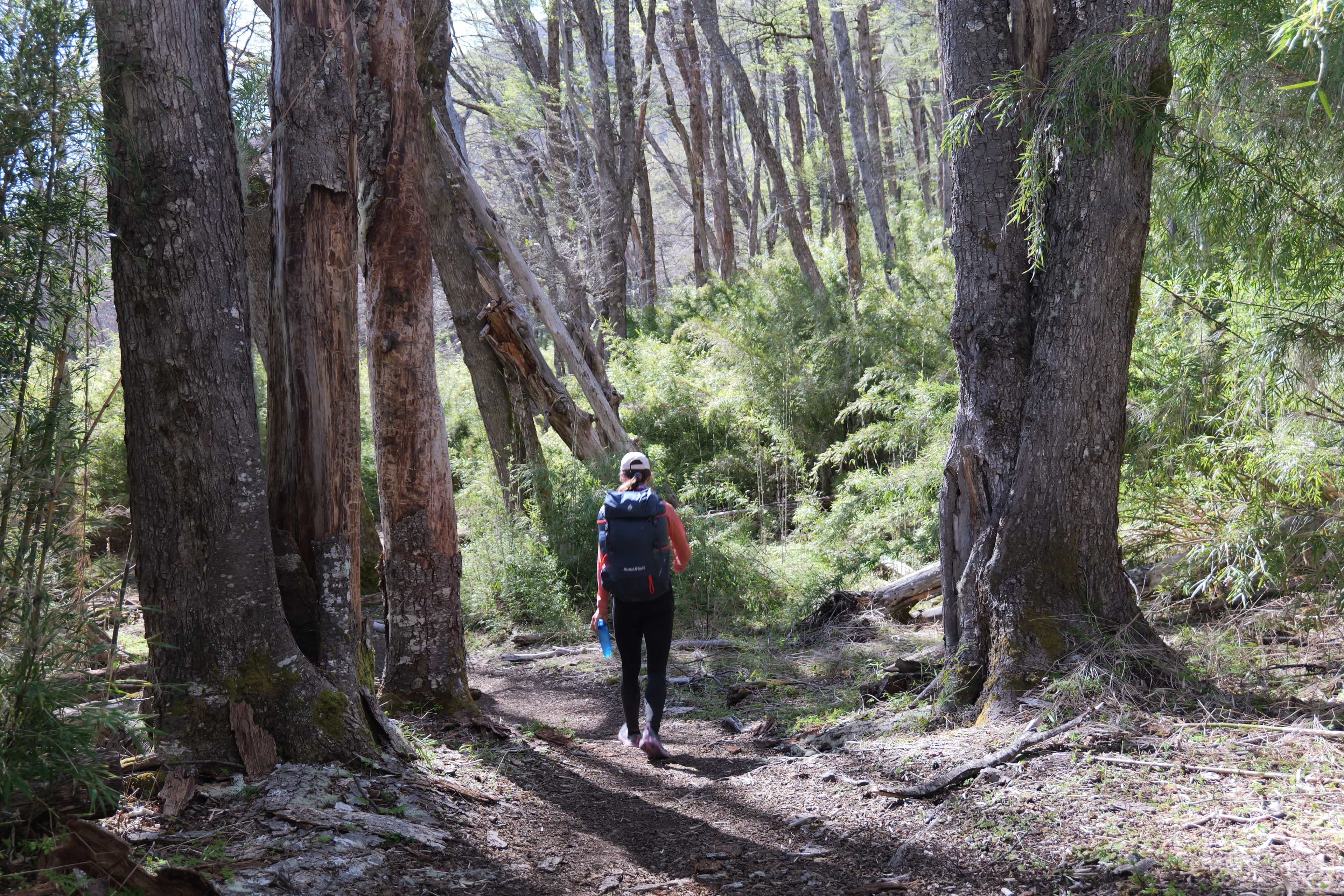 Photo 52 from Bariloche