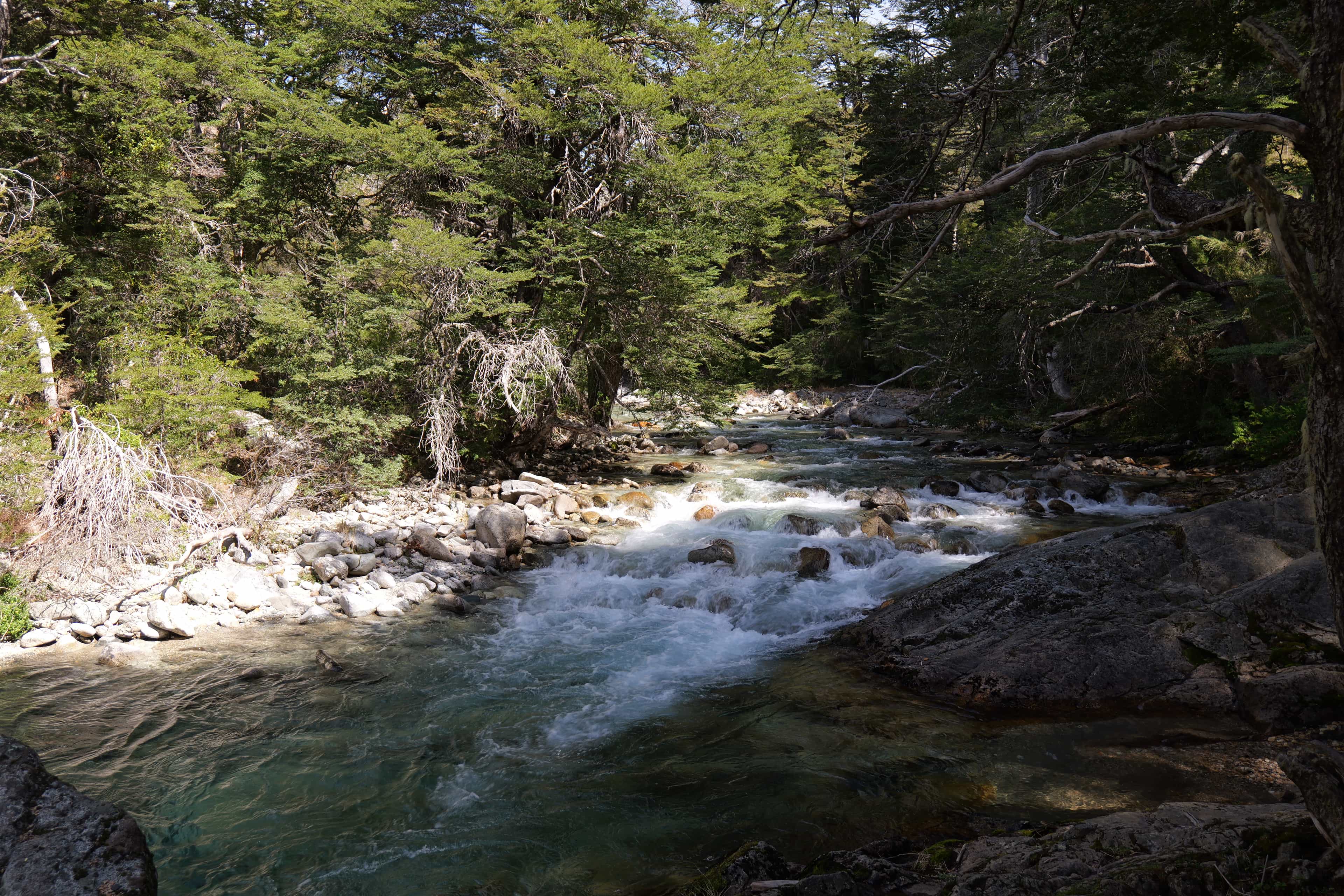 Photo 54 from Bariloche