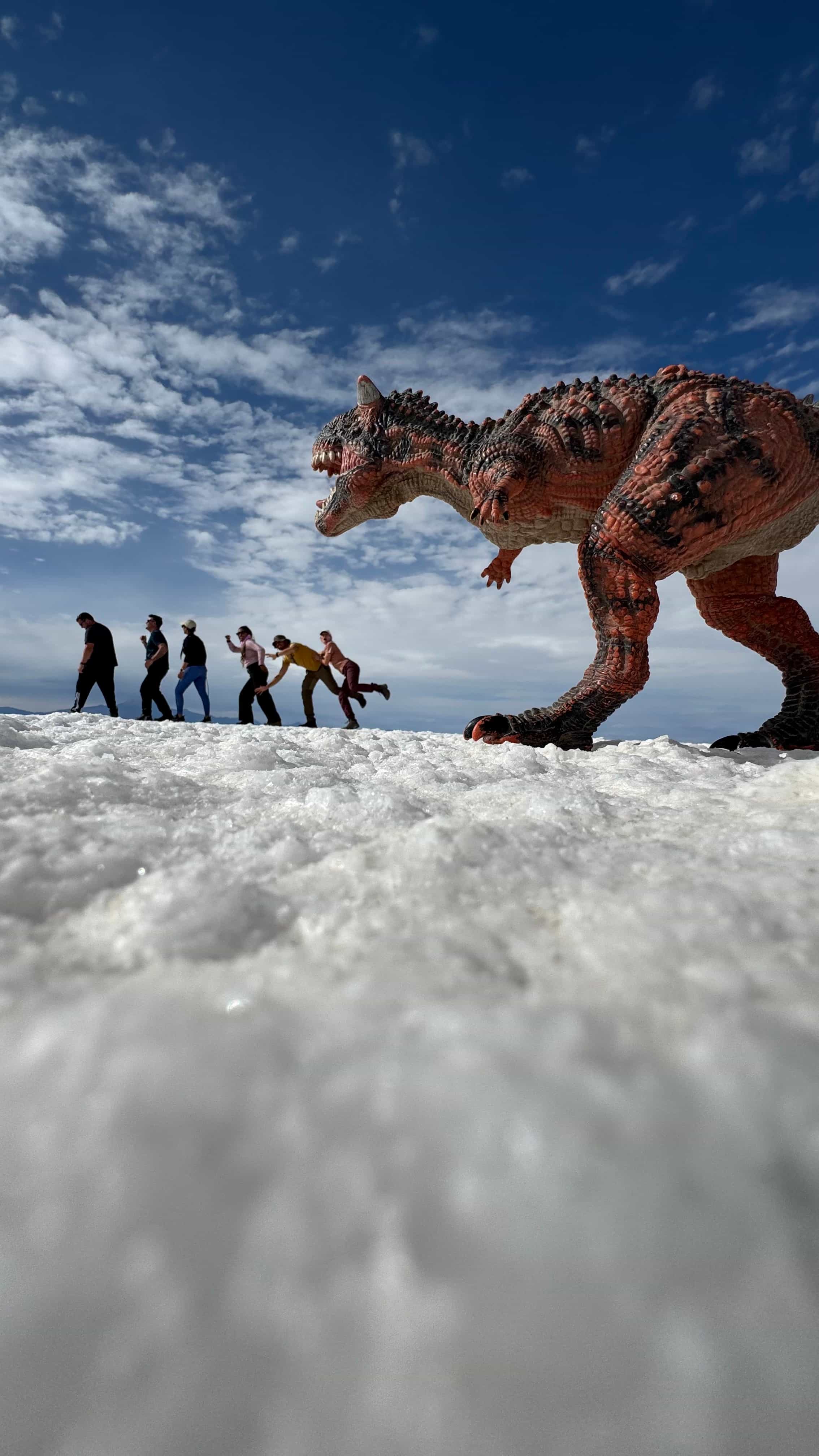 Photo 6 from Bolivia