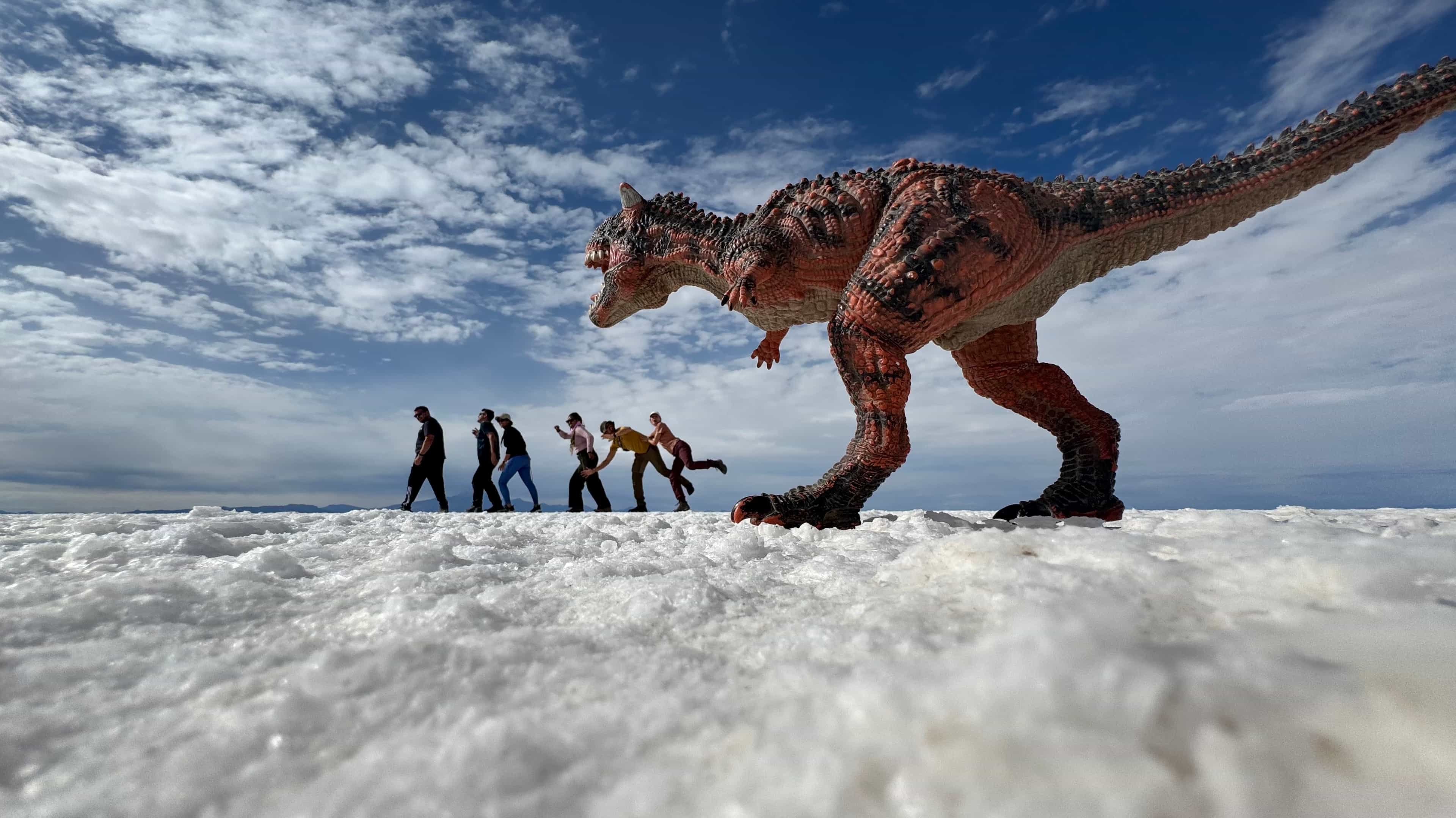 Photo 7 from Bolivia