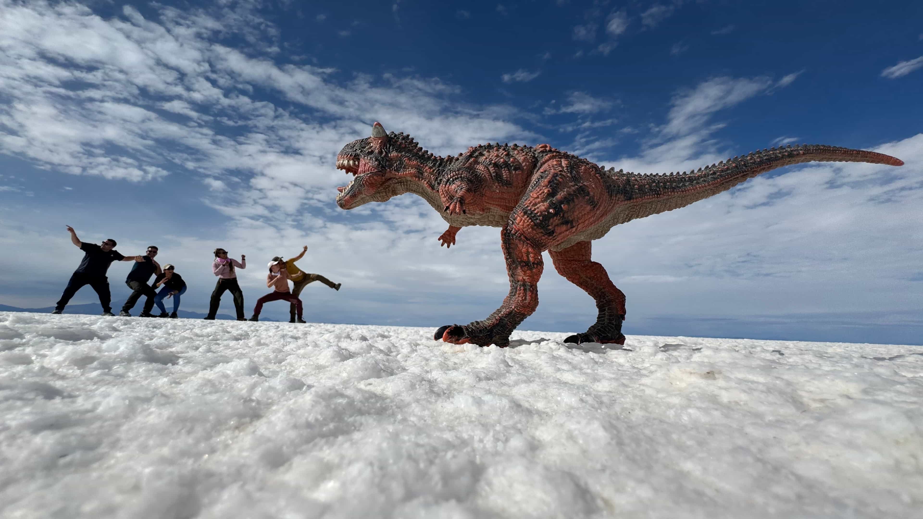 Photo 8 from Bolivia
