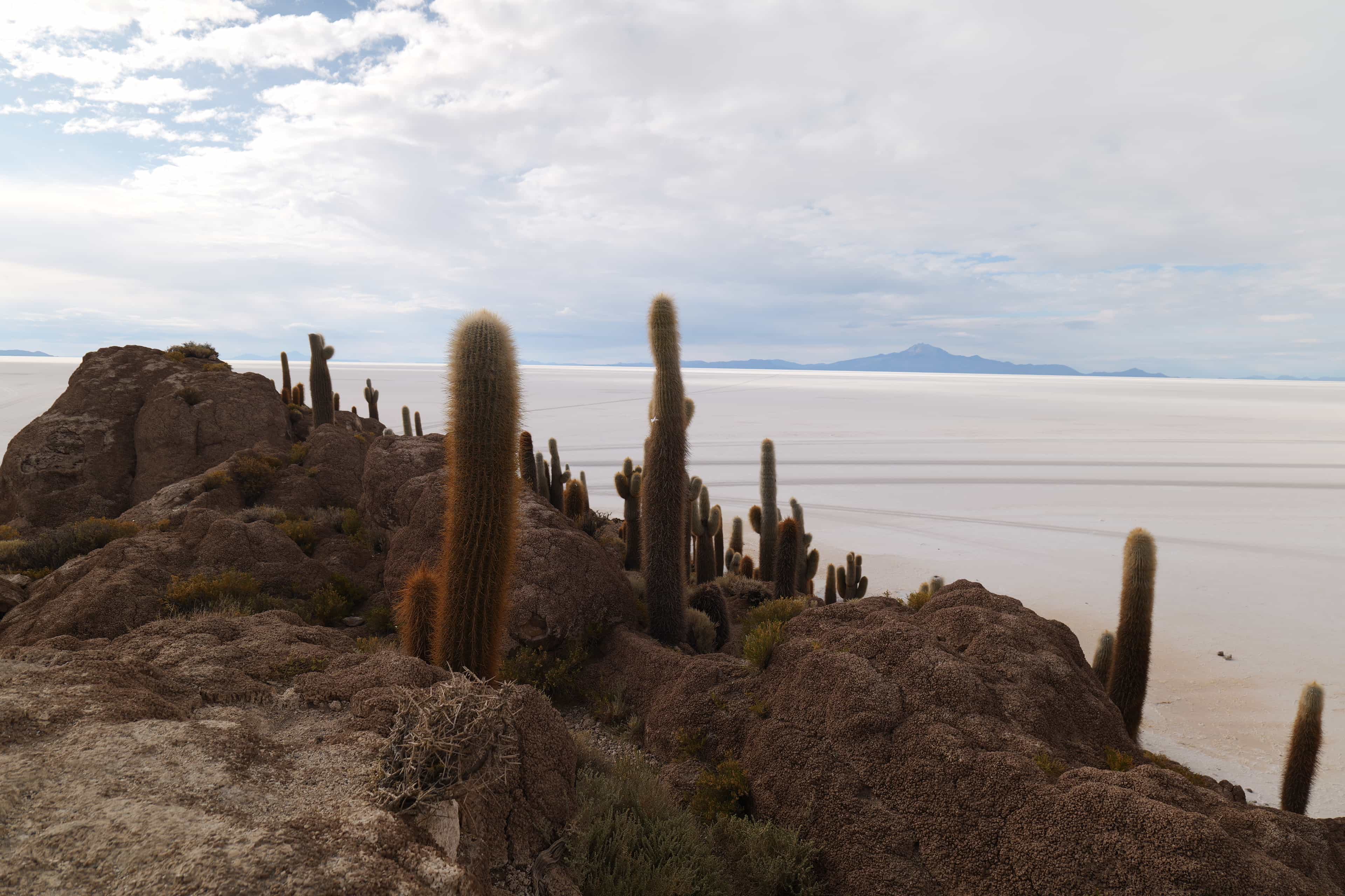 Photo 46 from Bolivia