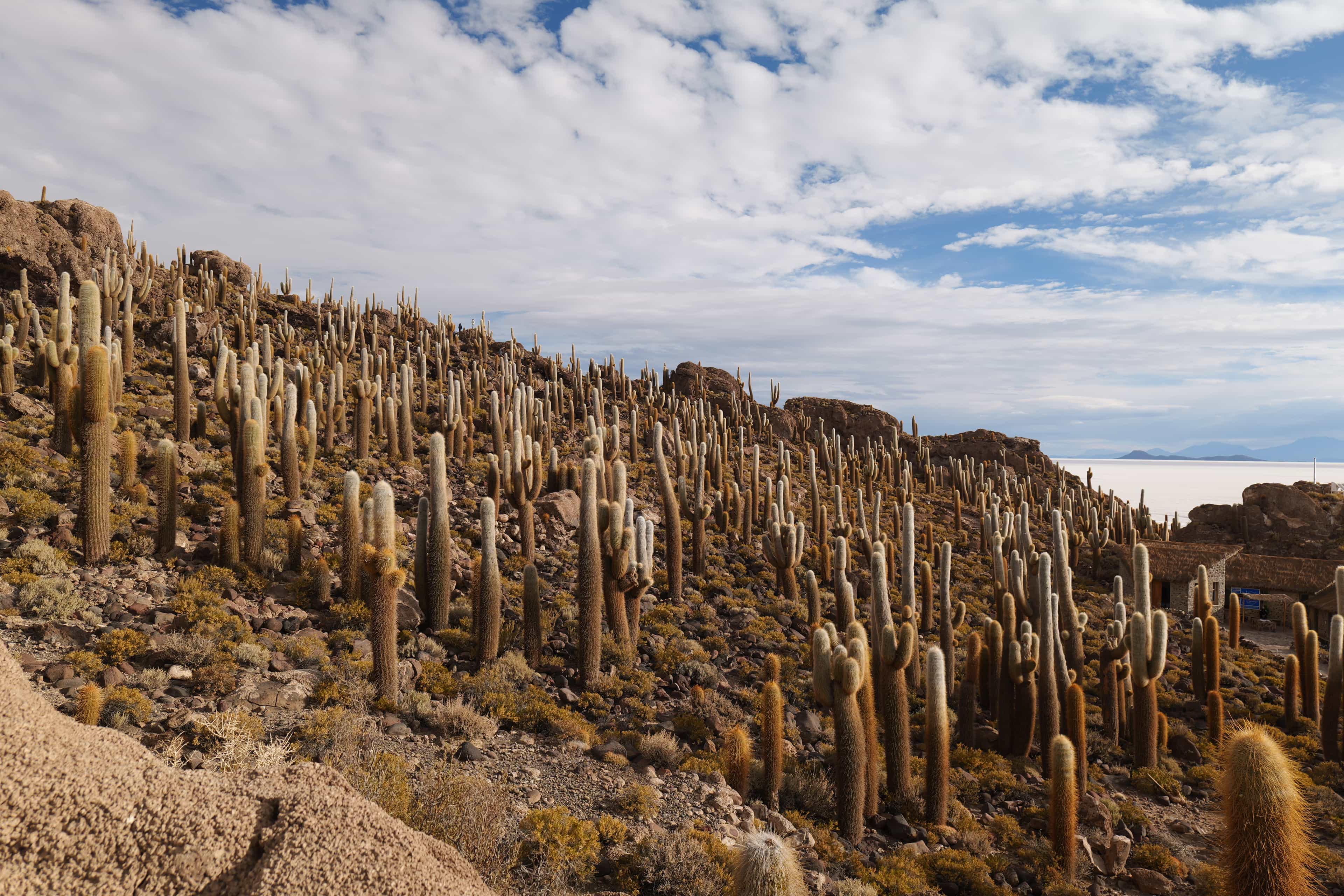 Photo 48 from Bolivia
