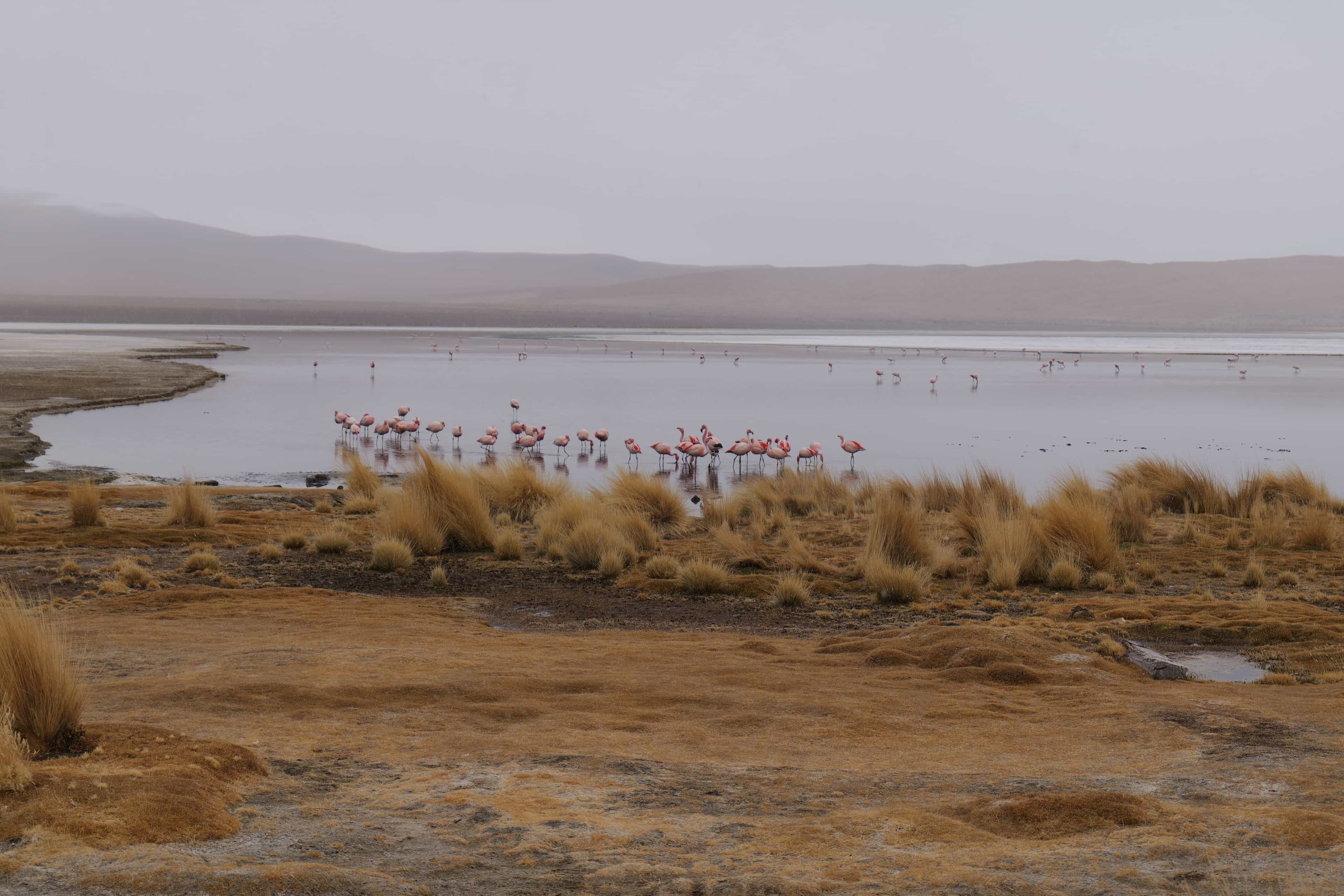 Photo 87 from Bolivia