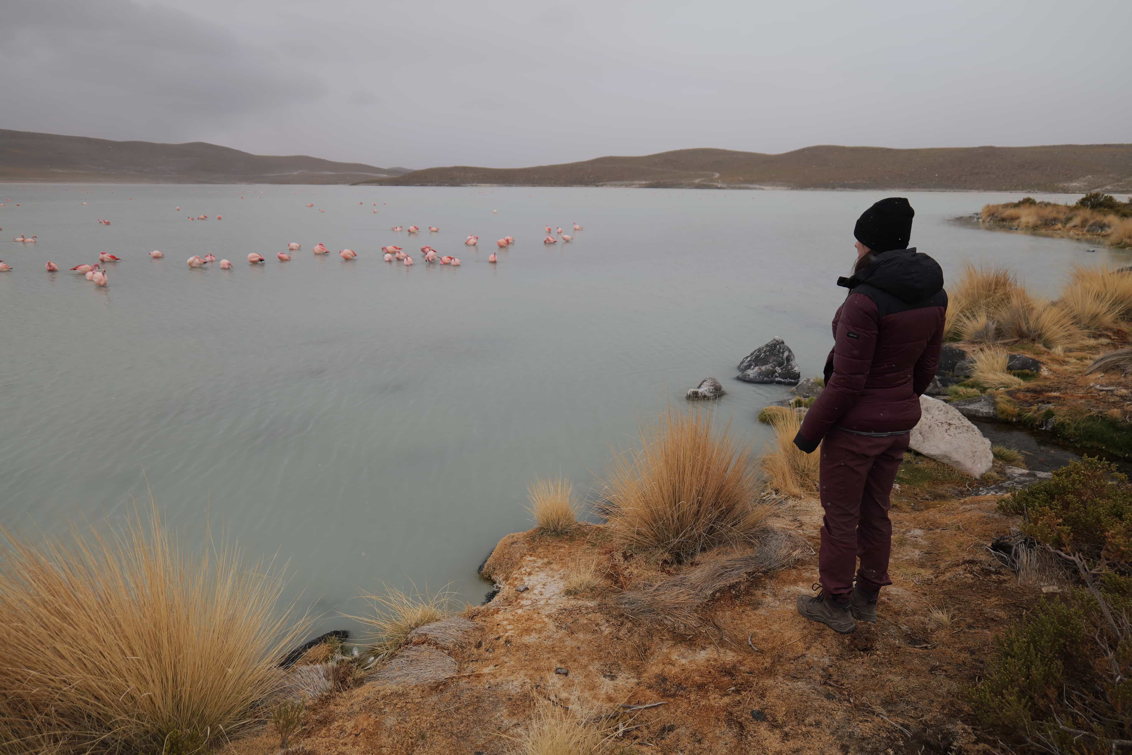 Photo 88 from Bolivia