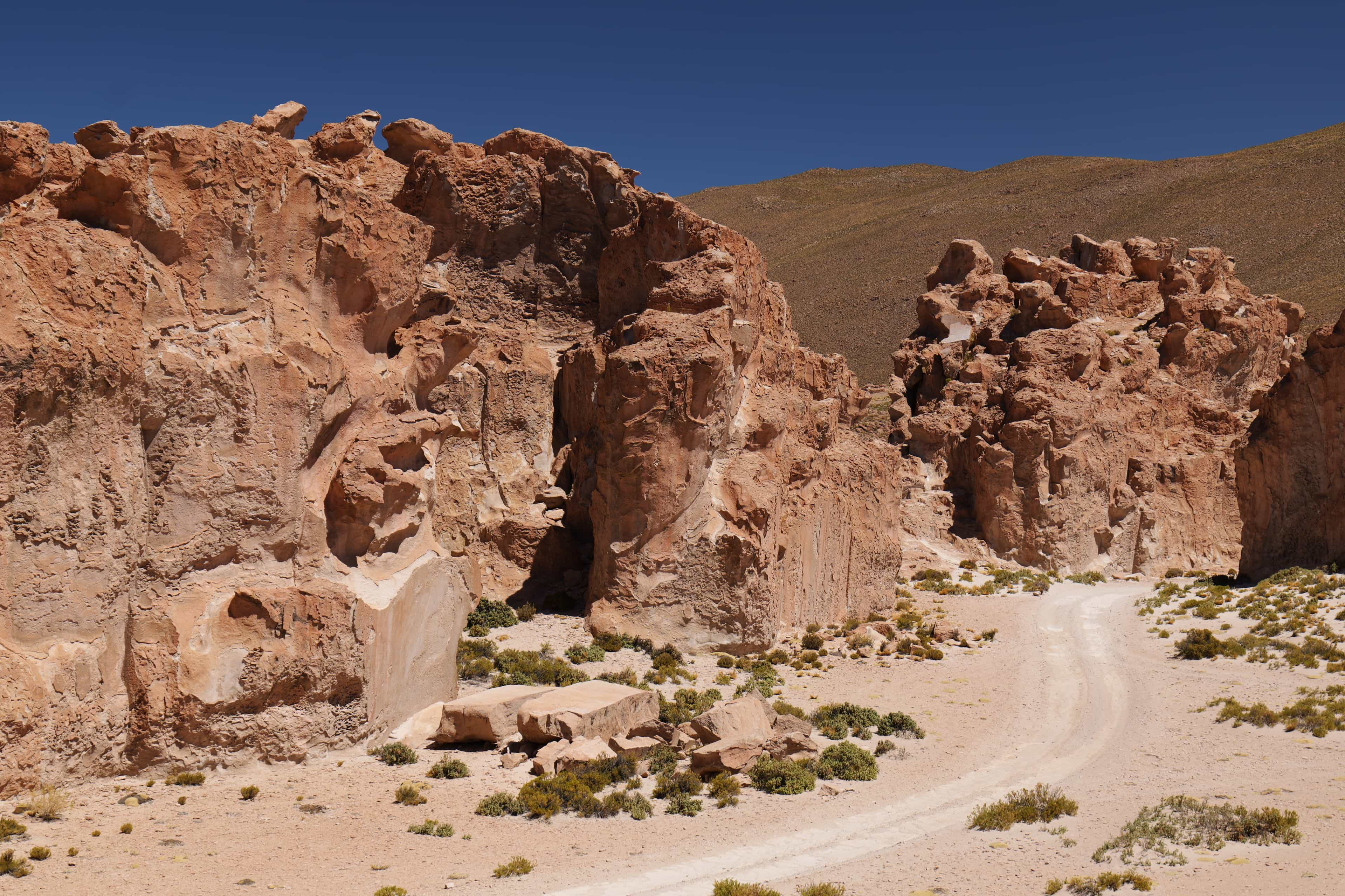 Photo 139 from Bolivia