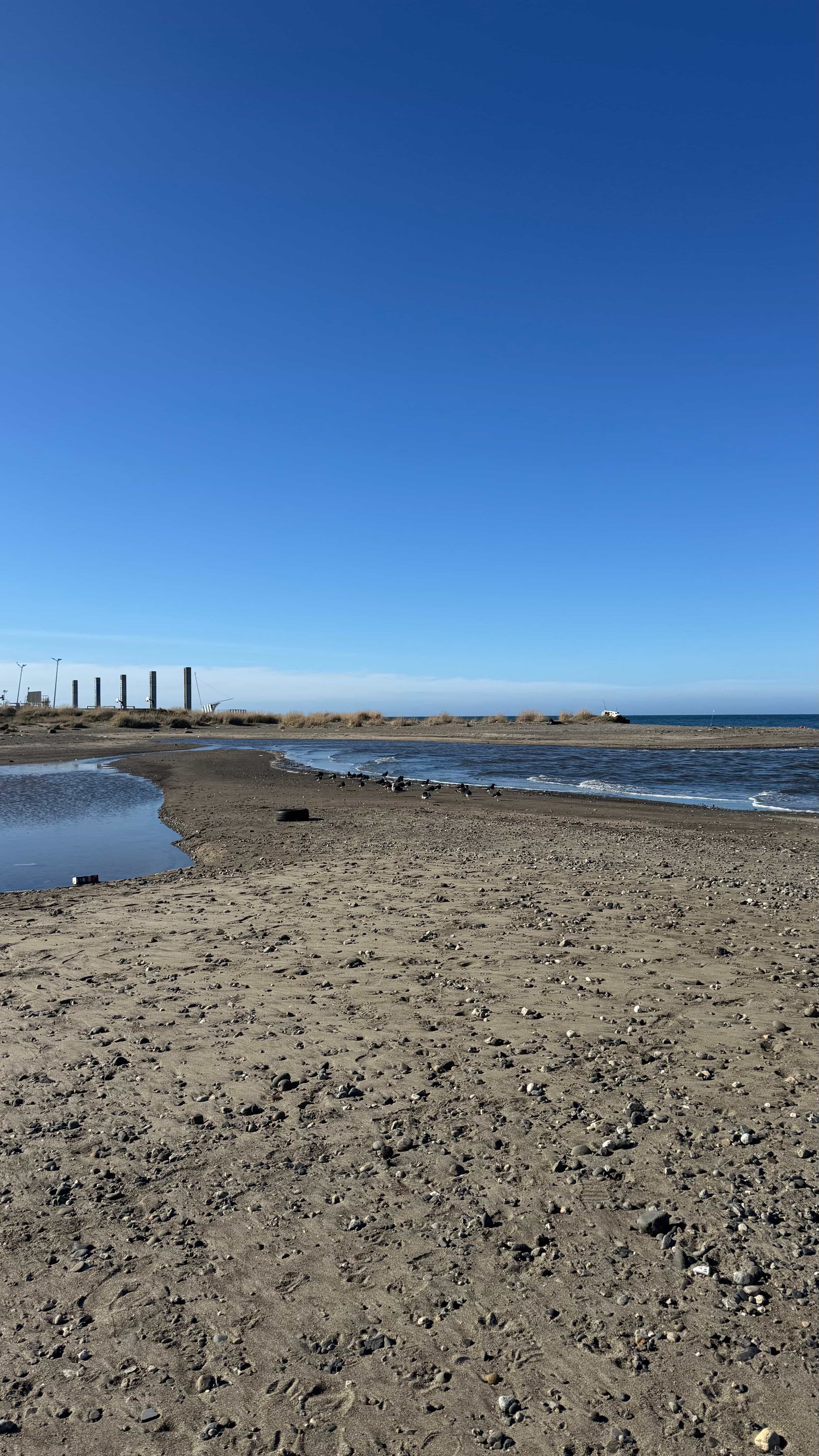 Photo 8 from Patagonia