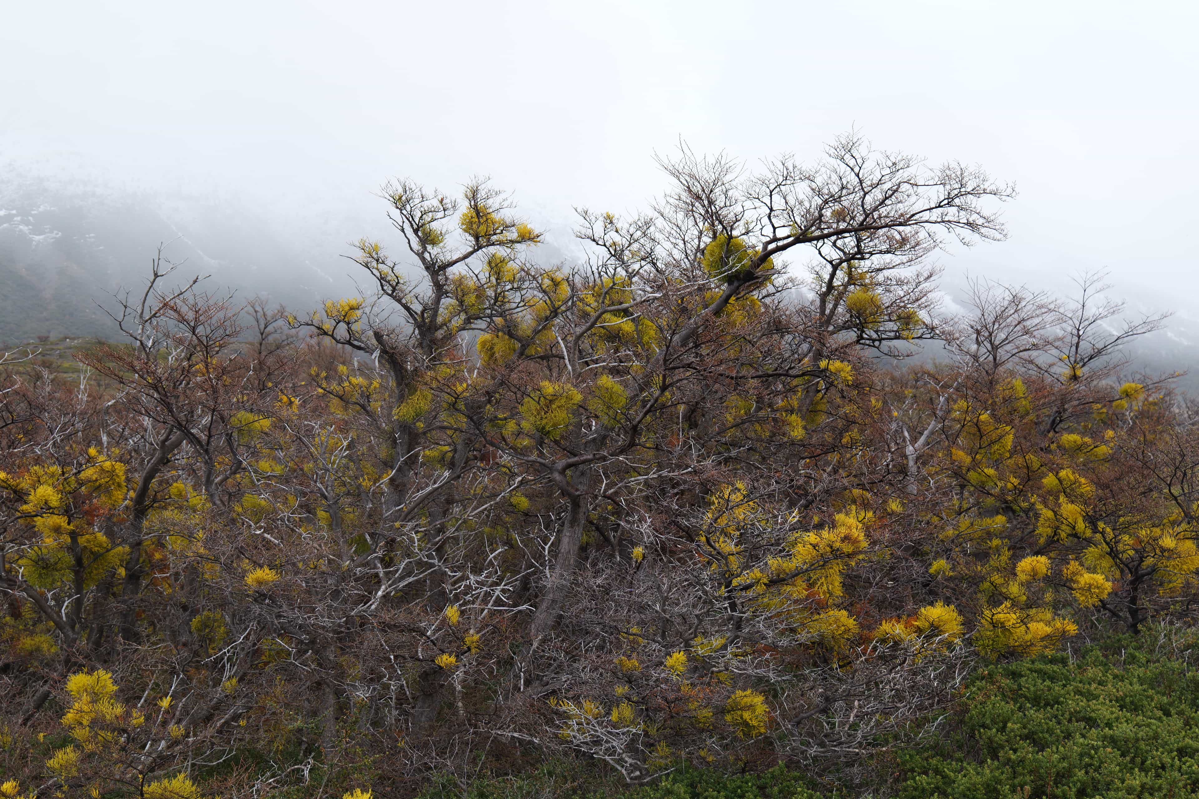 Photo 75 from Patagonia
