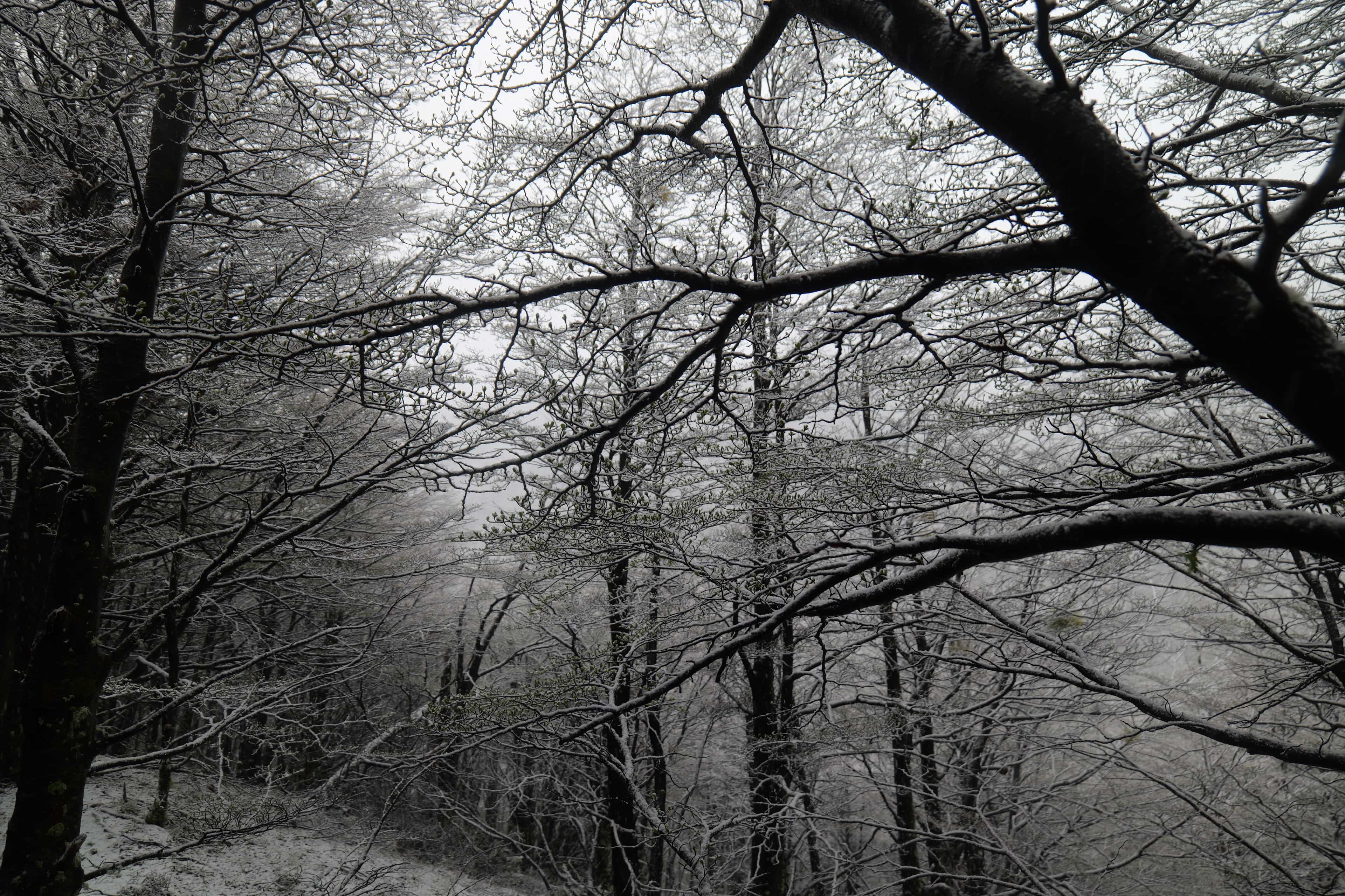 Photo 94 from Patagonia