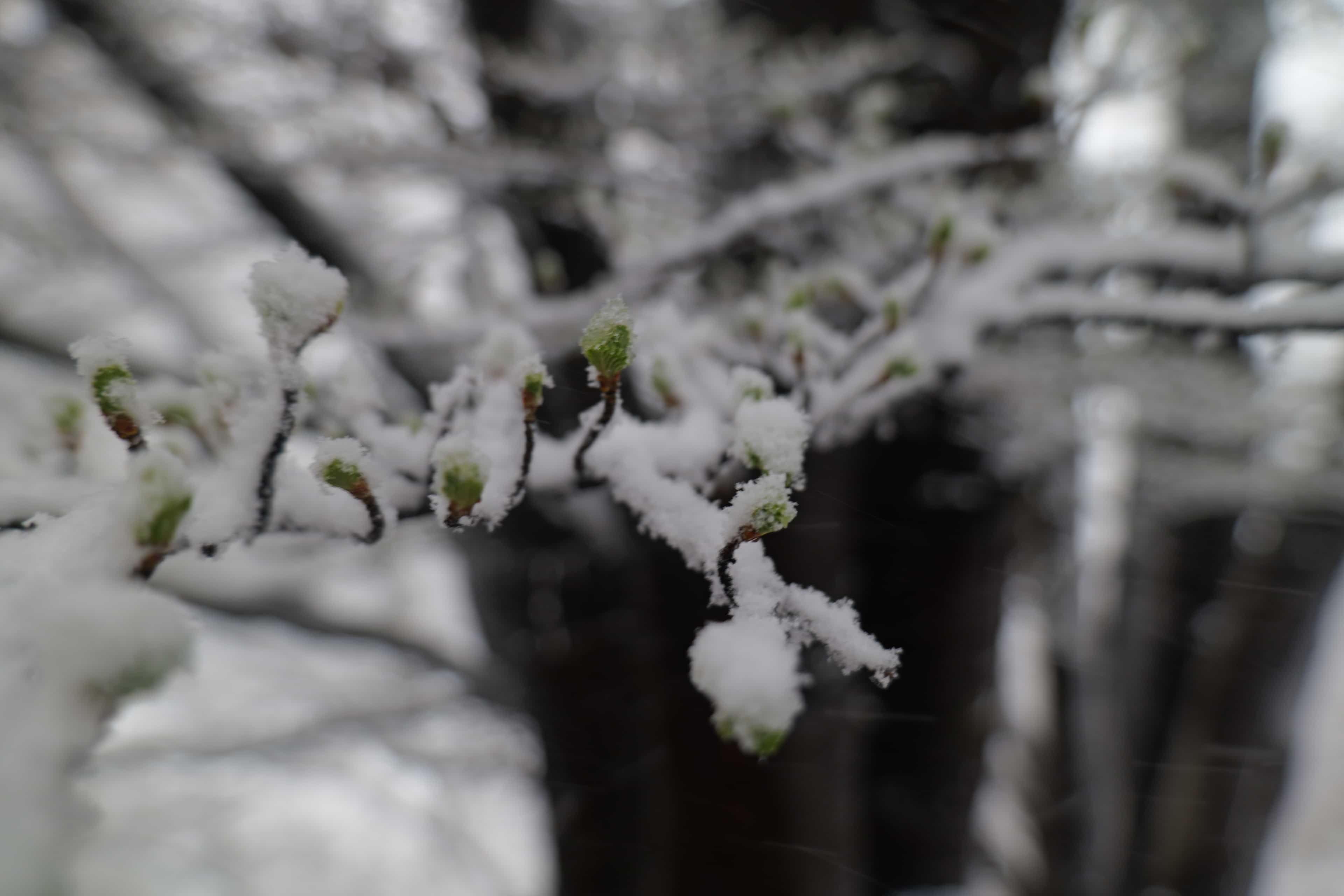 Photo 97 from Patagonia