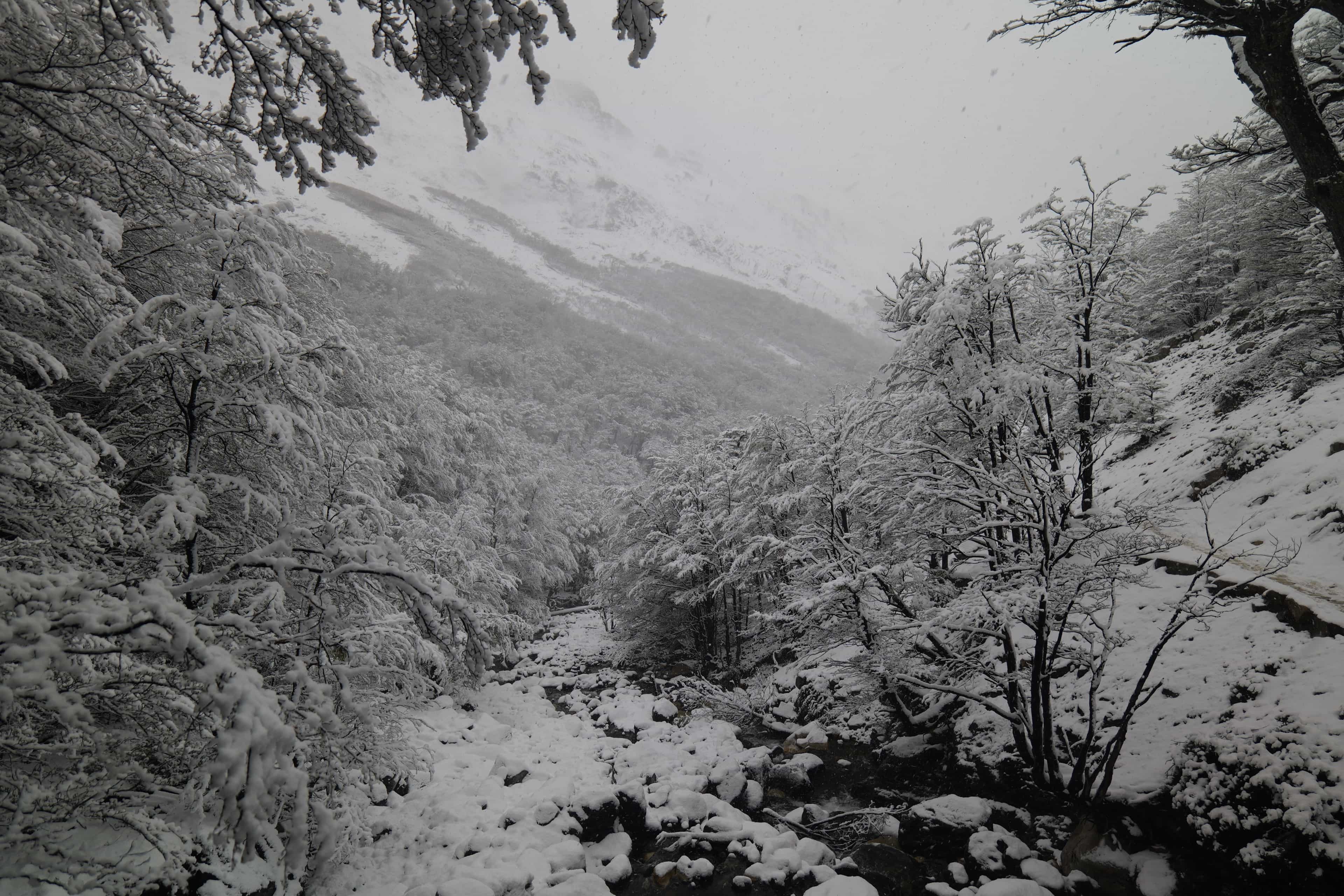 Photo 98 from Patagonia