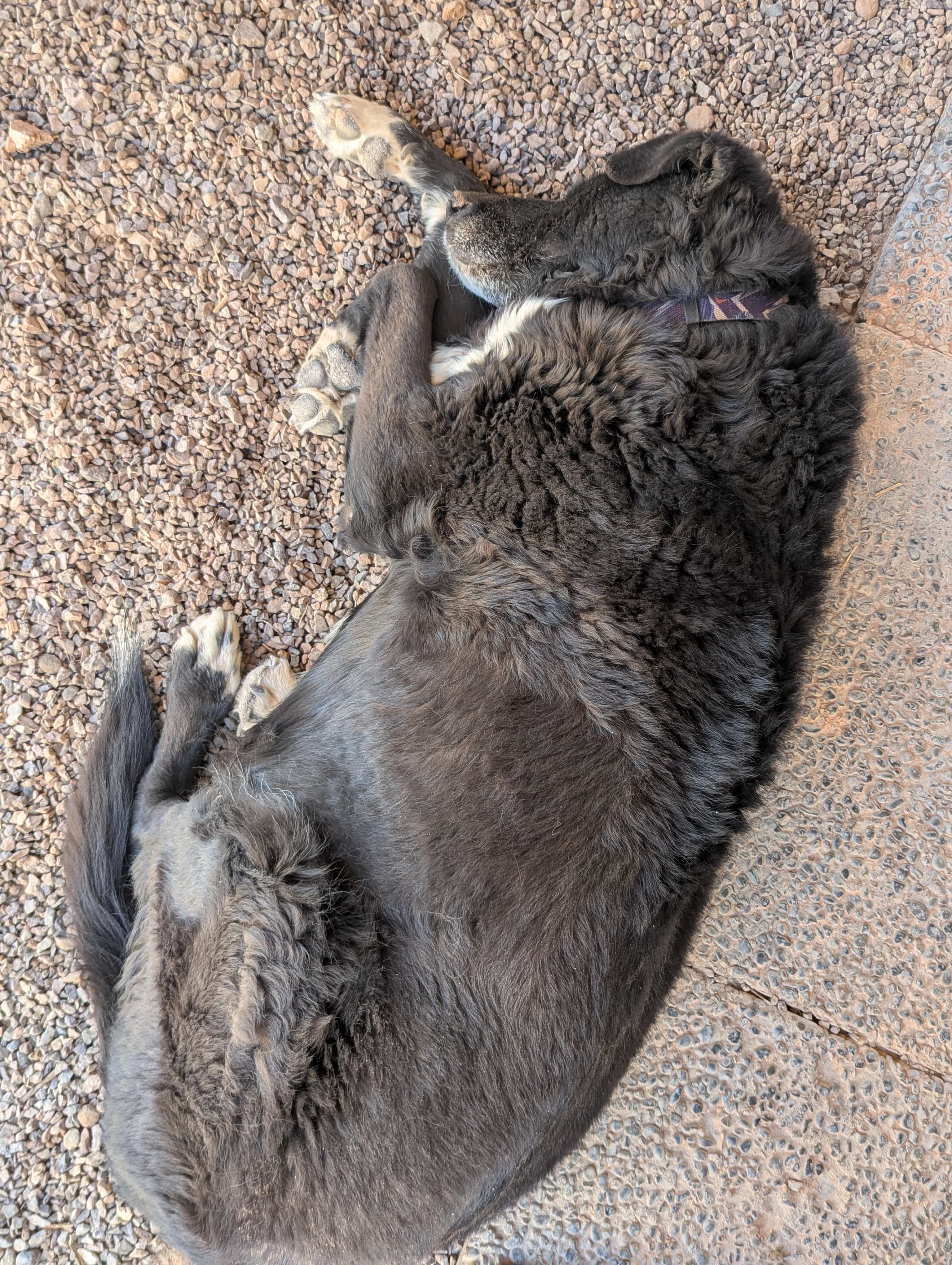 Photo 143 from Patagonia