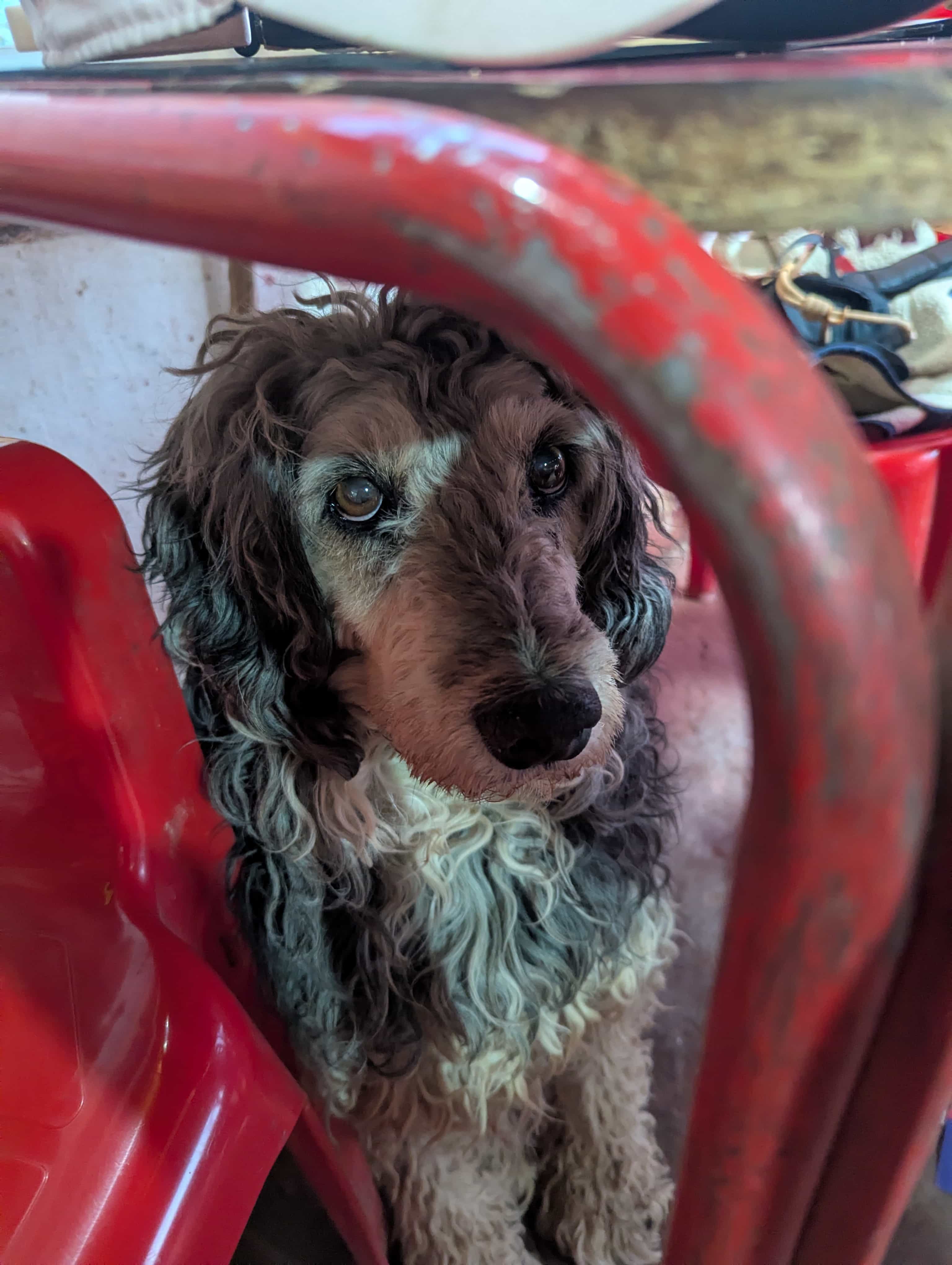 Photo 146 from Patagonia