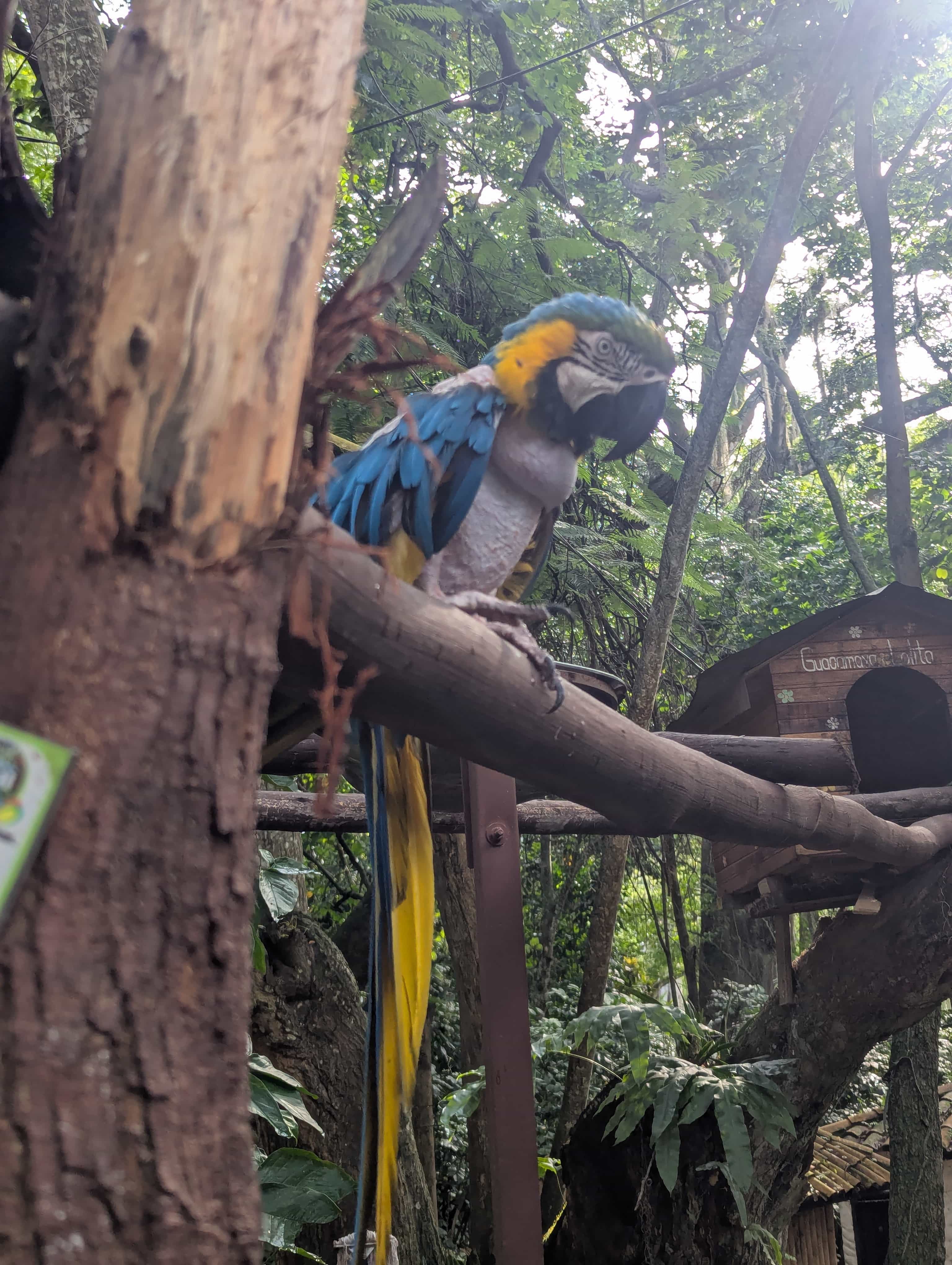 Photo 119 from Colombia