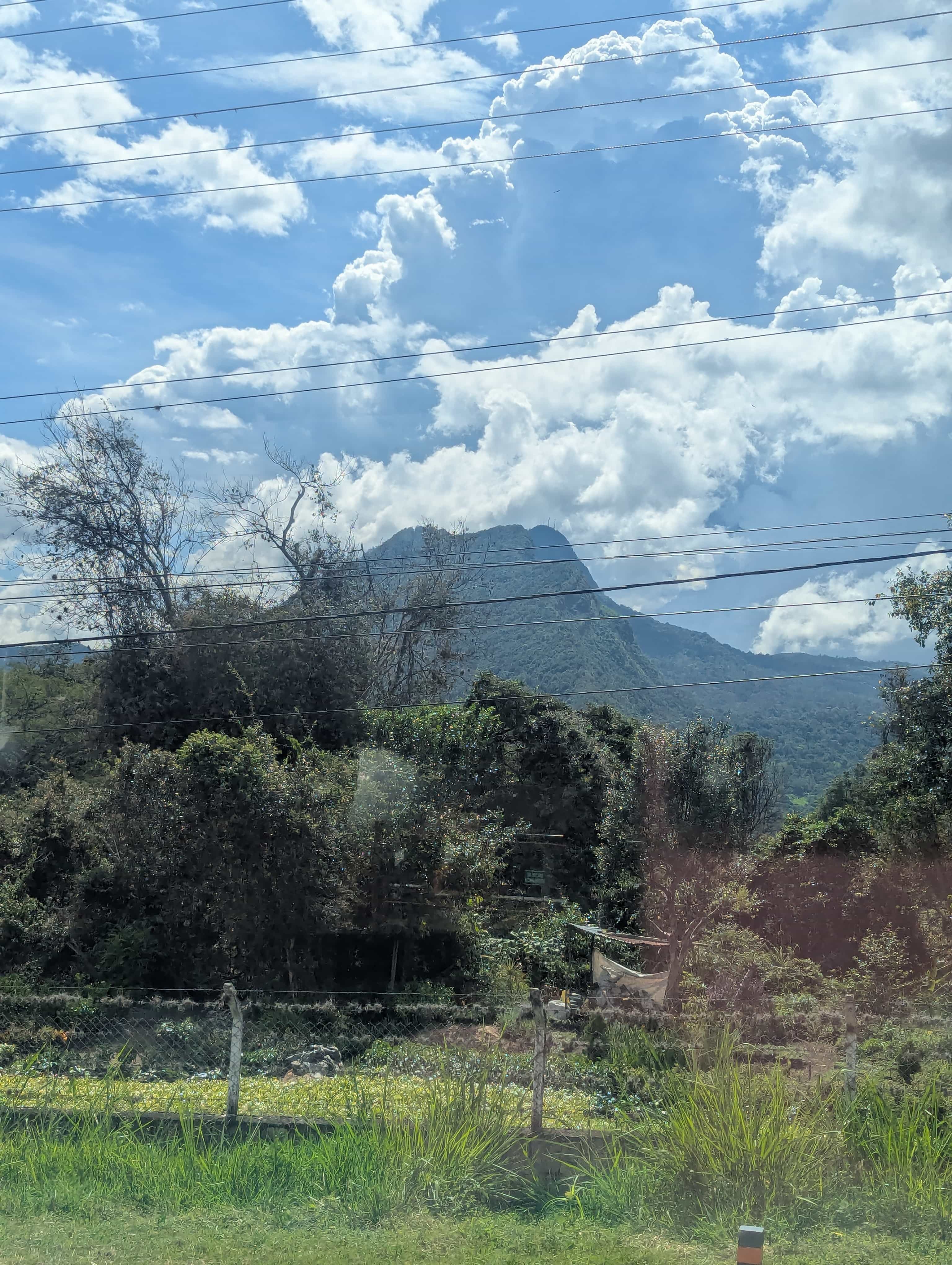 Photo 163 from Colombia