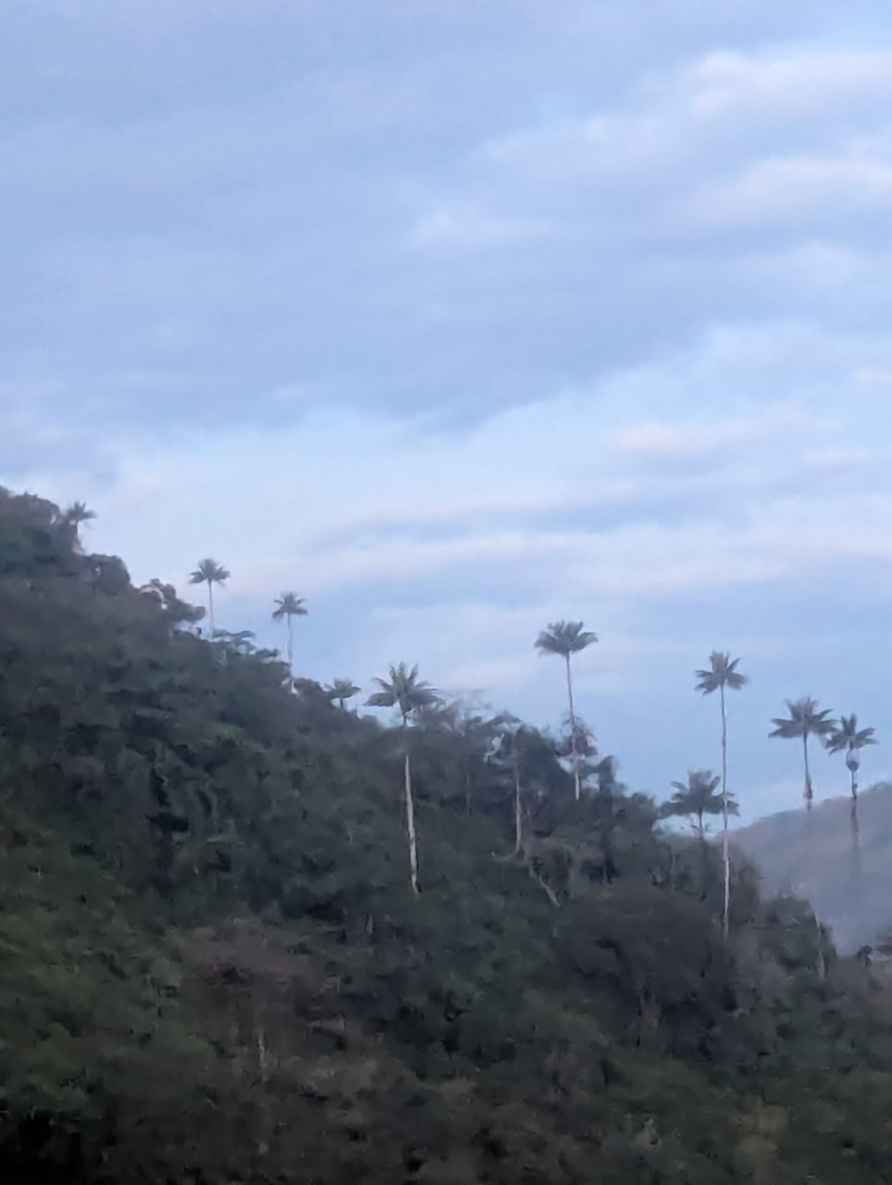 Photo 170 from Colombia
