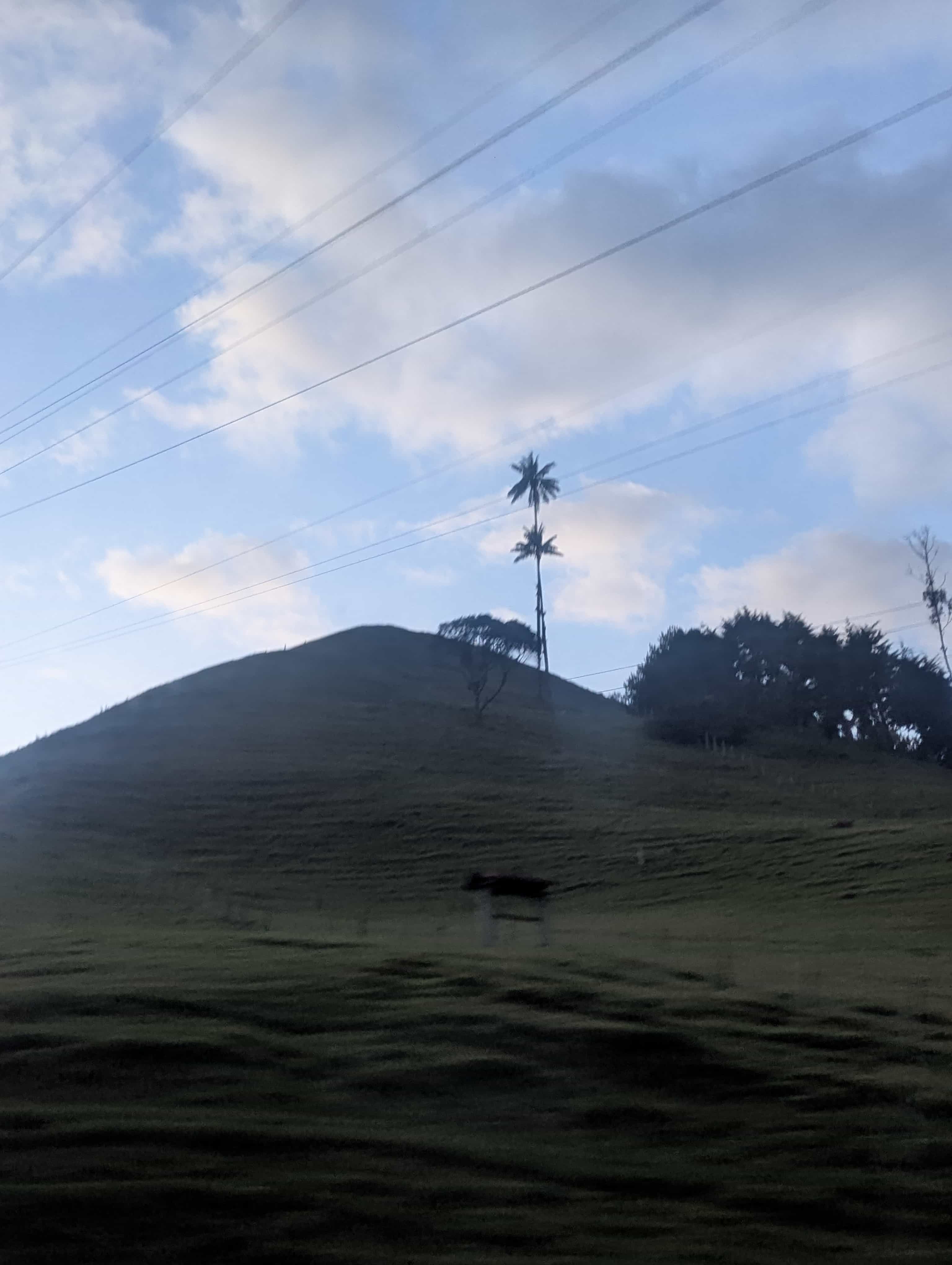 Photo 171 from Colombia