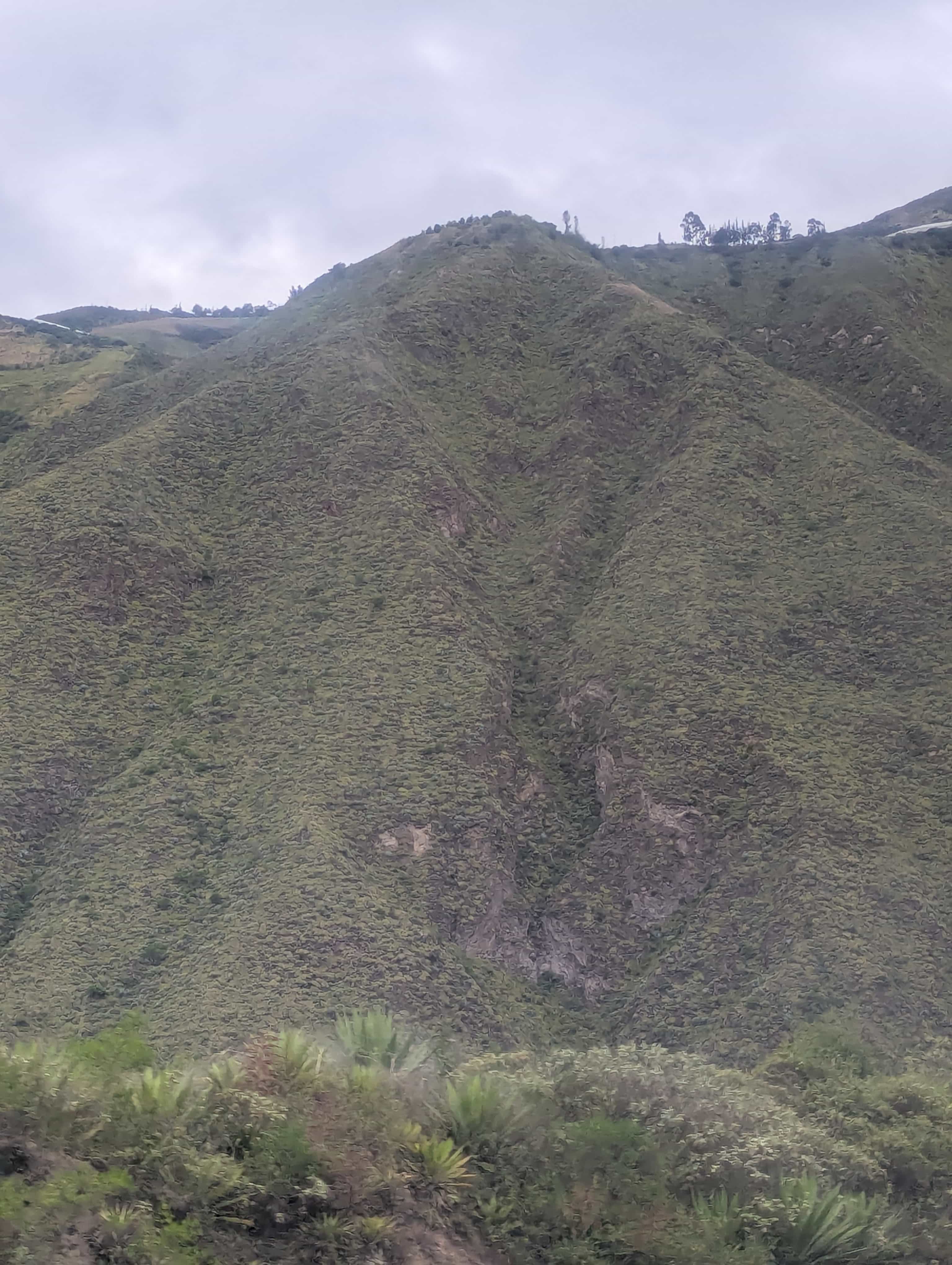 Photo 172 from Colombia