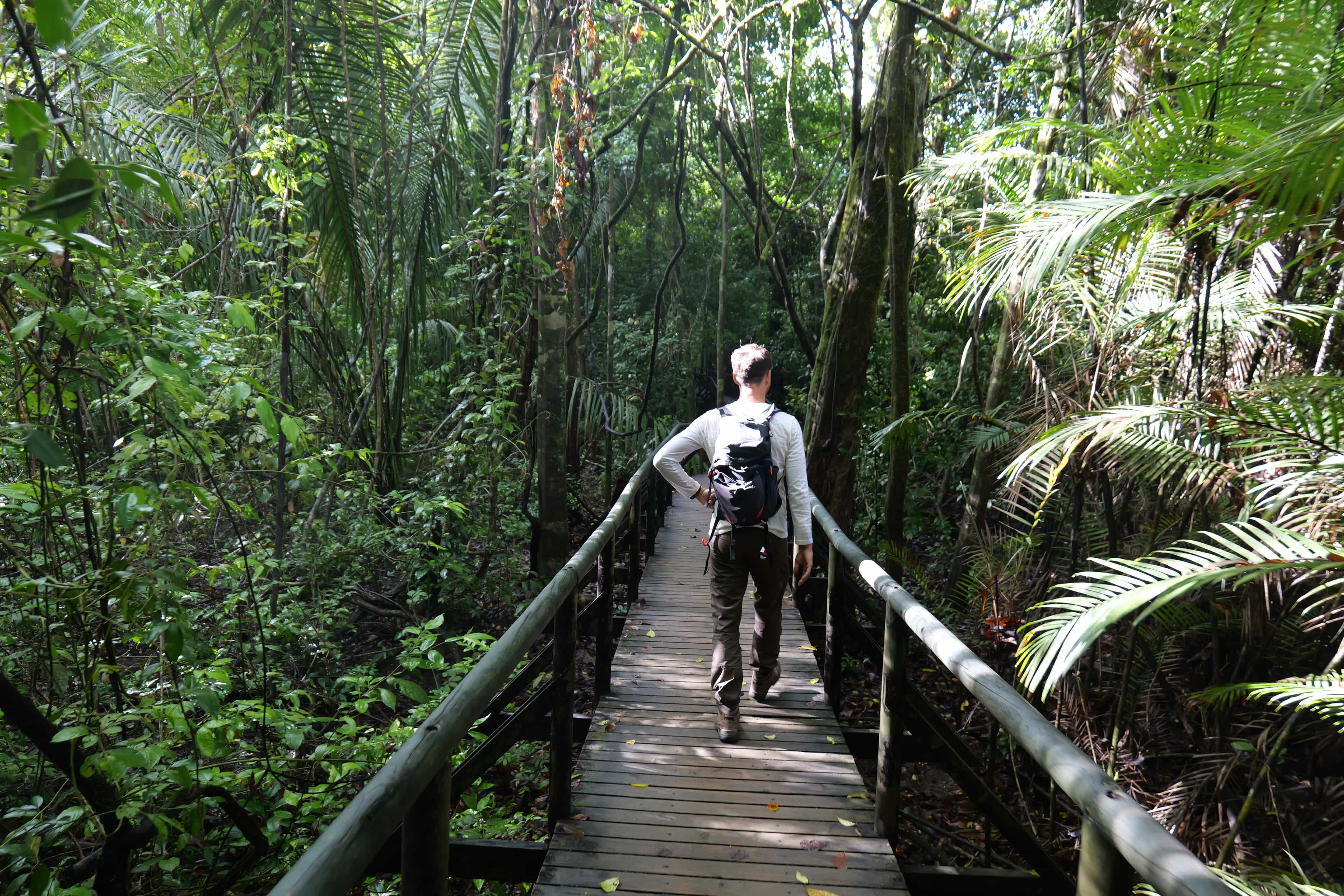 Photo 15 from Costa Rica