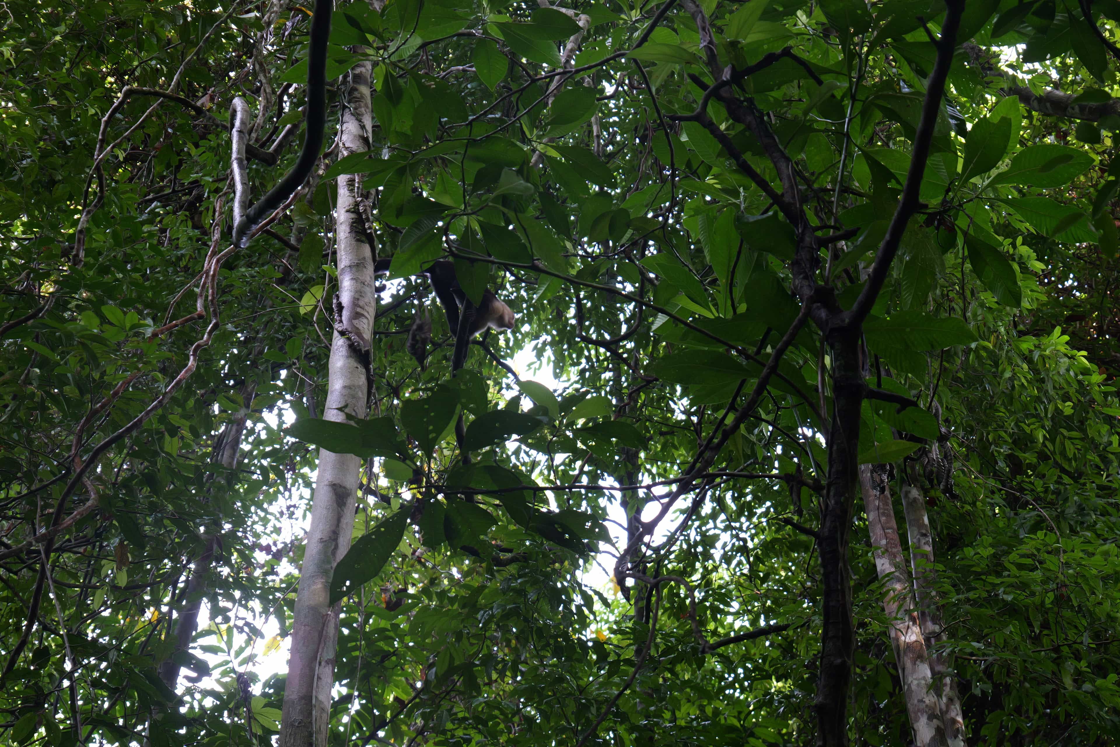 Photo 16 from Costa Rica
