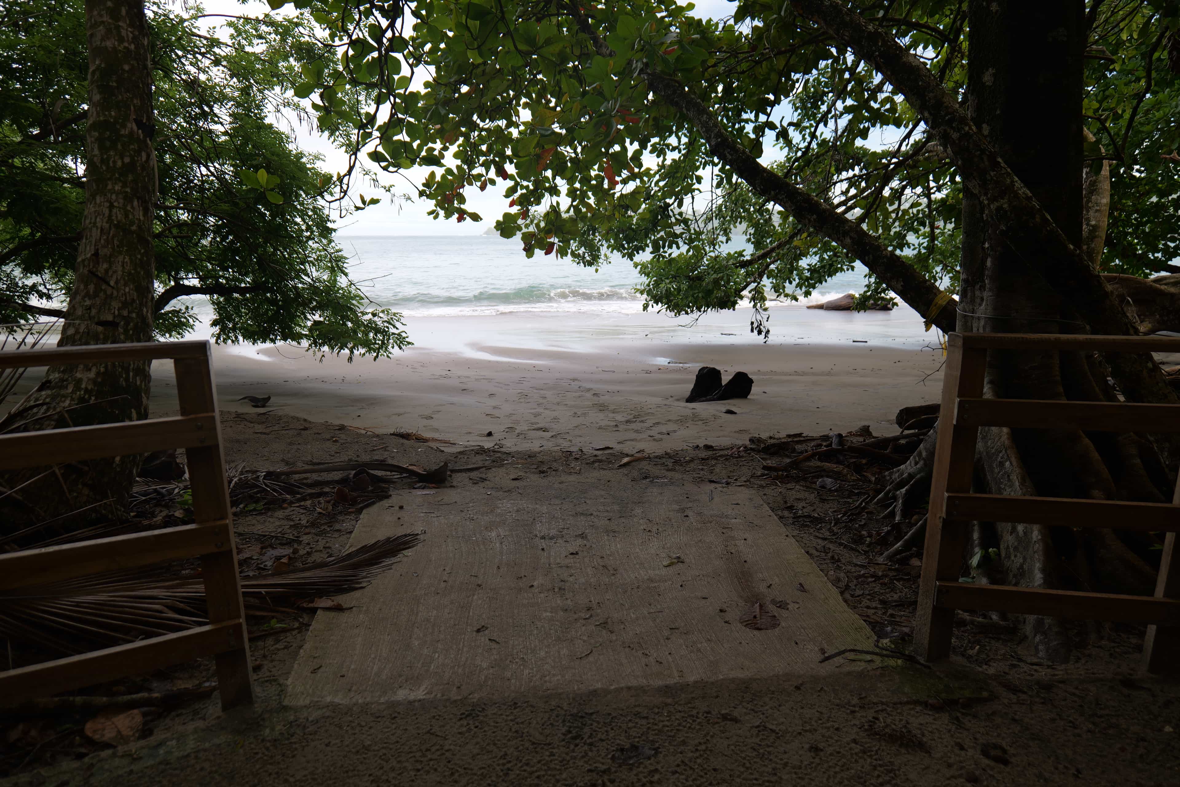 Photo 18 from Costa Rica