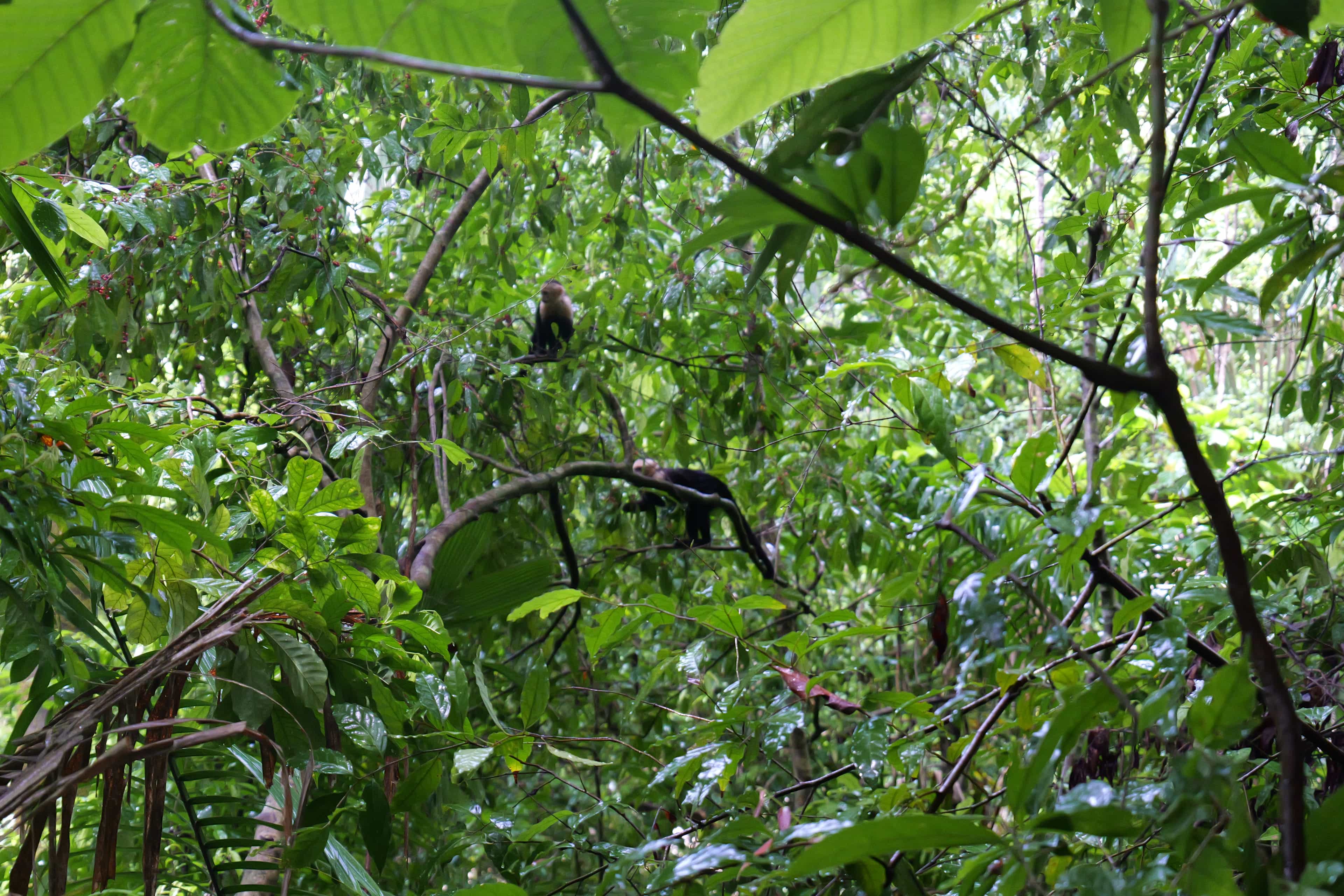 Photo 20 from Costa Rica