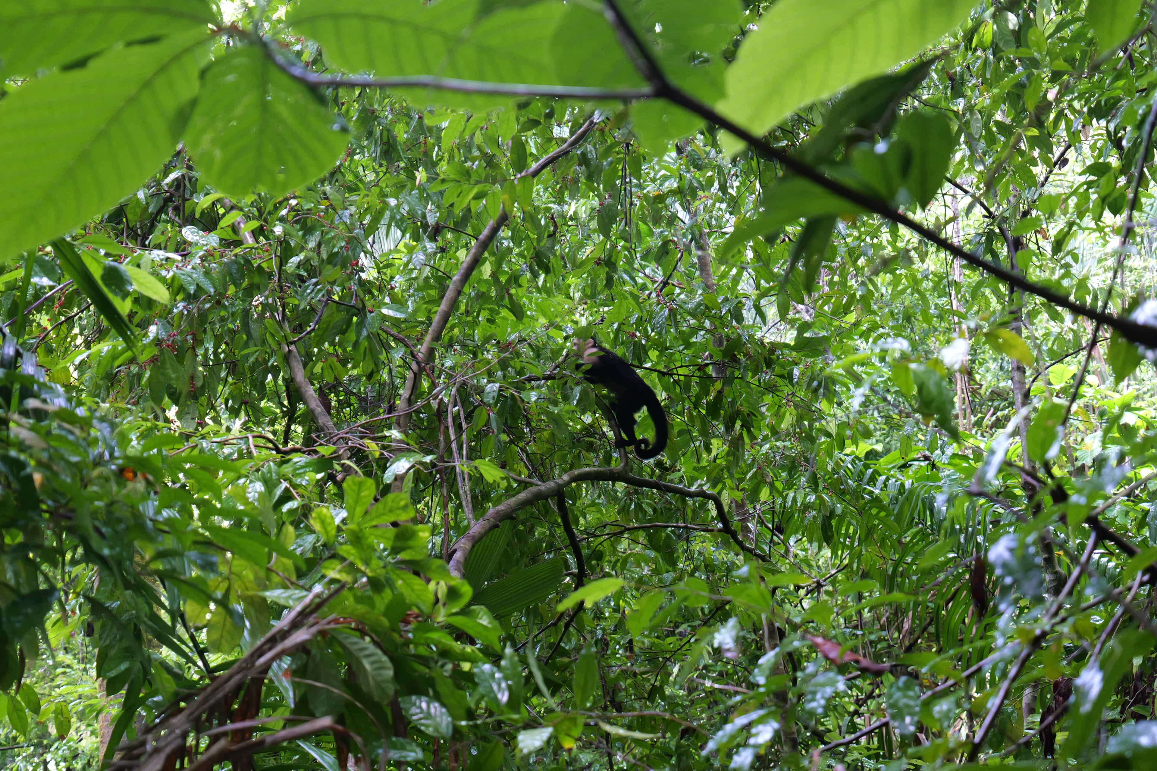 Photo 21 from Costa Rica
