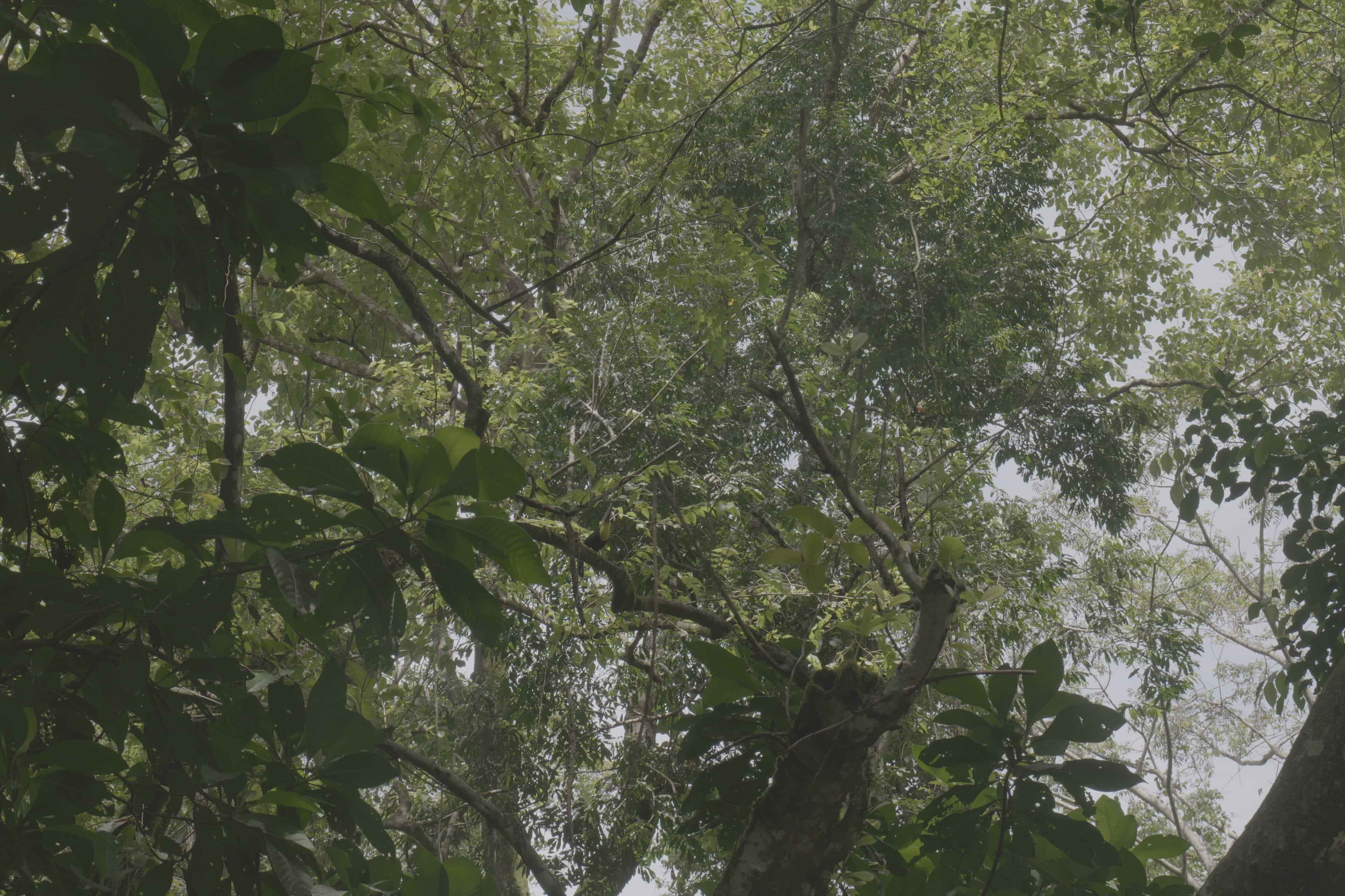 Photo 25 from Costa Rica