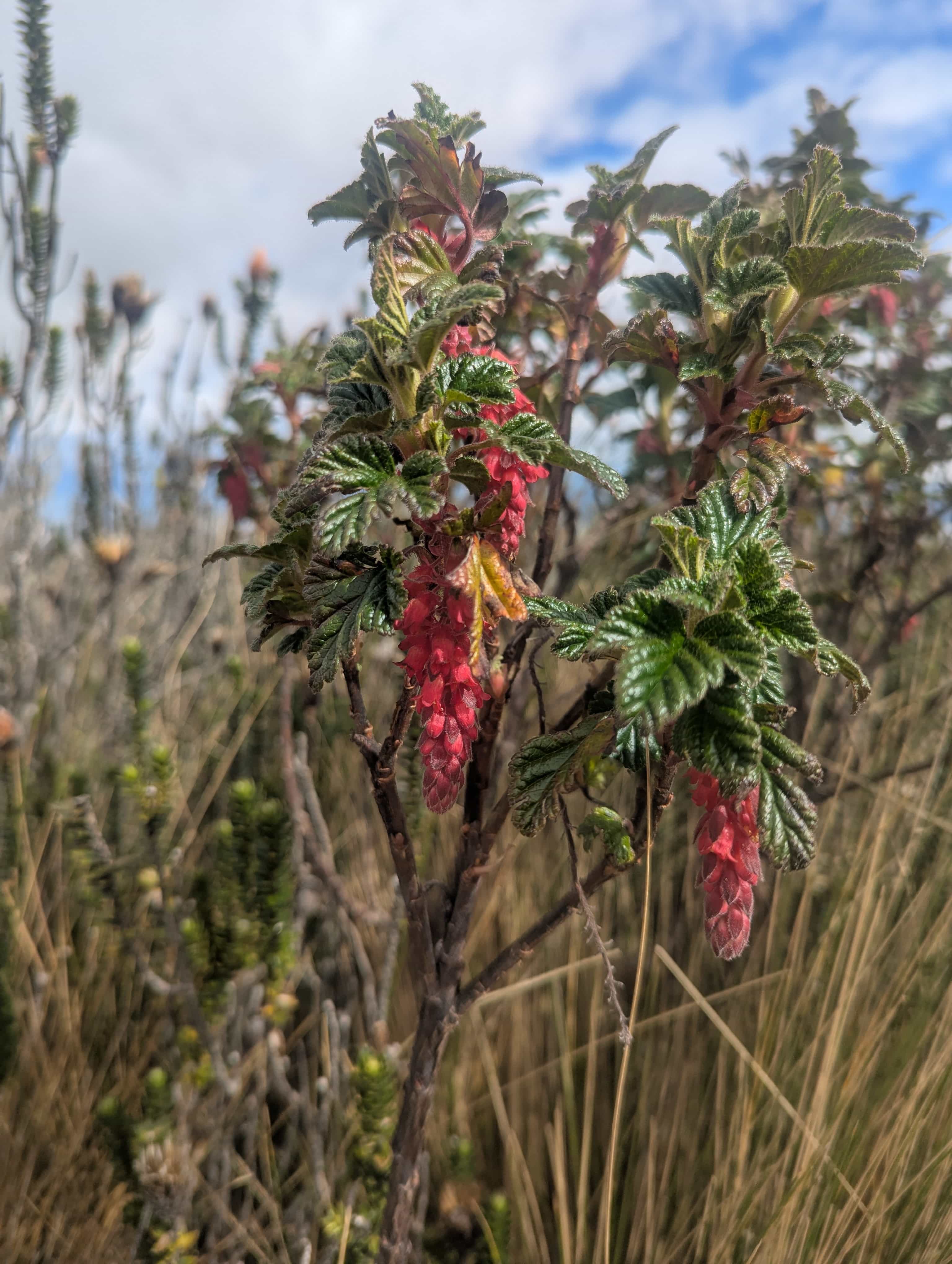 Photo 29 from Ecuador