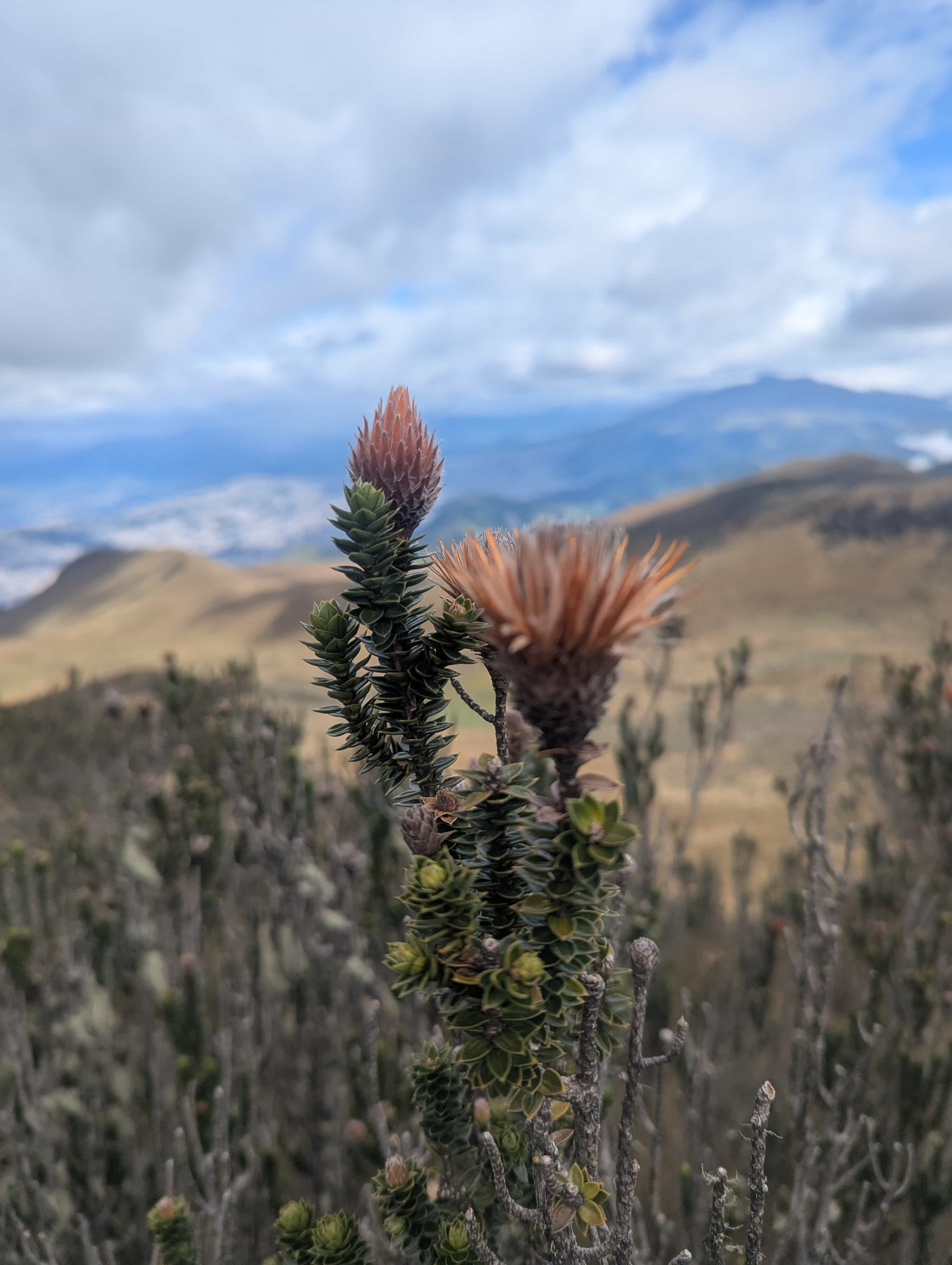 Photo 30 from Ecuador