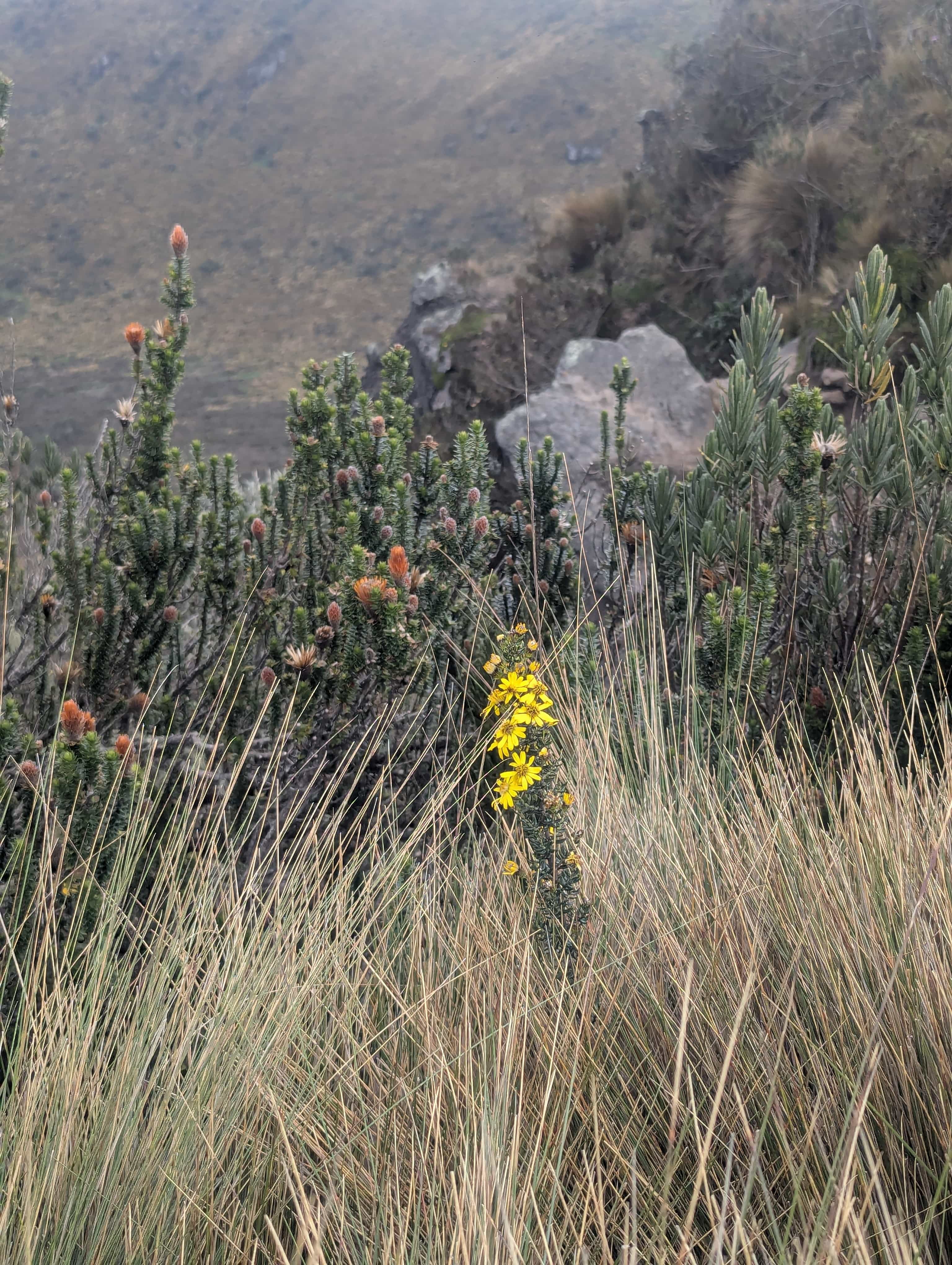 Photo 31 from Ecuador