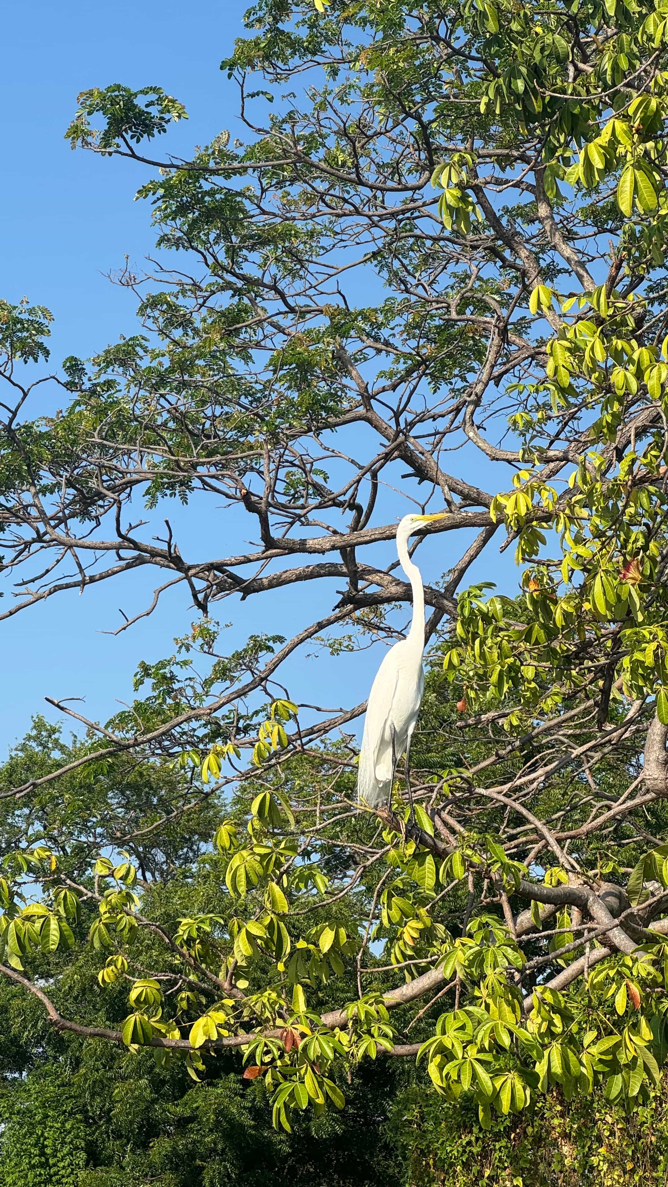 Photo 14 from Nicaragua