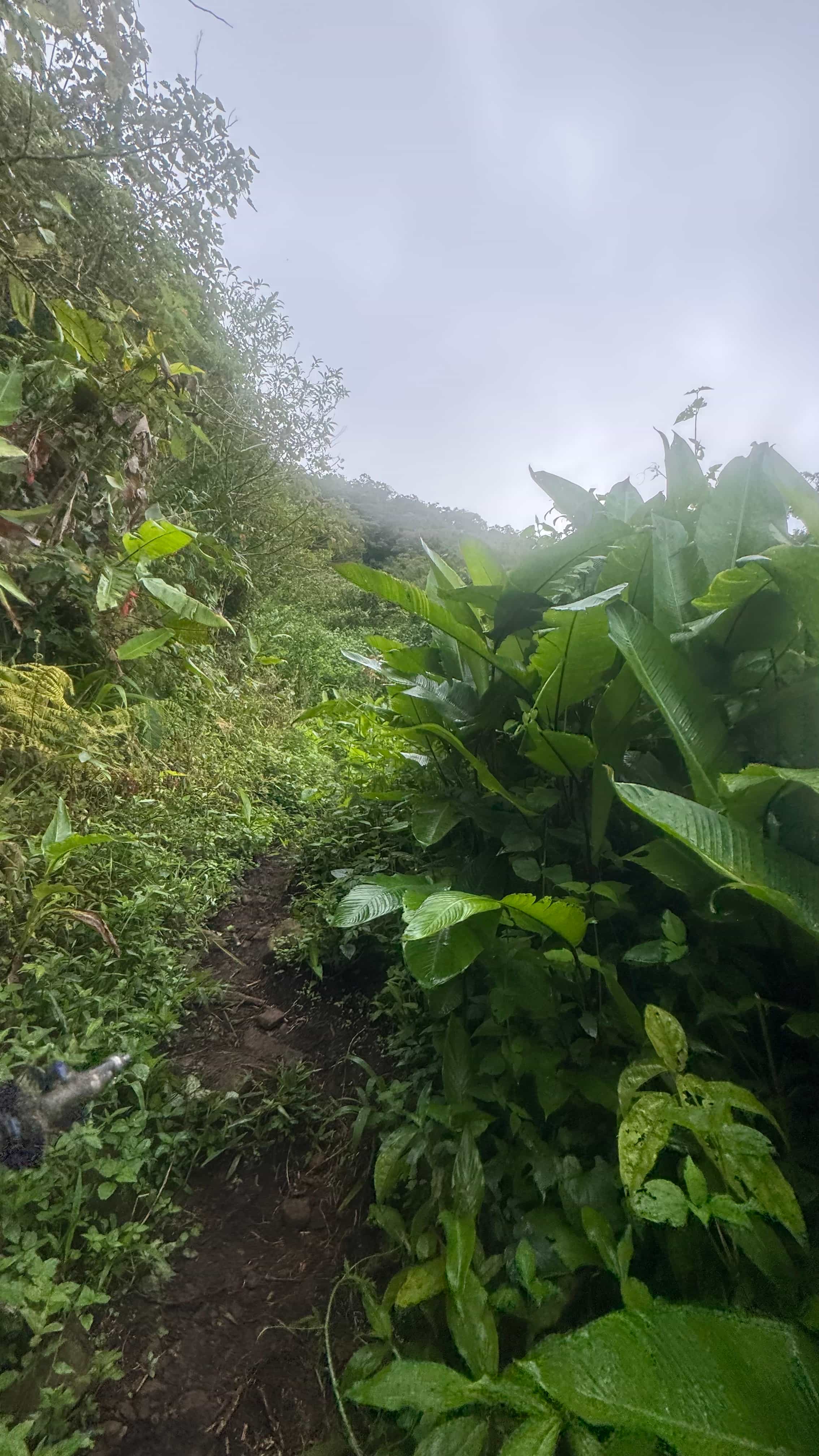 Photo 11 from Panama
