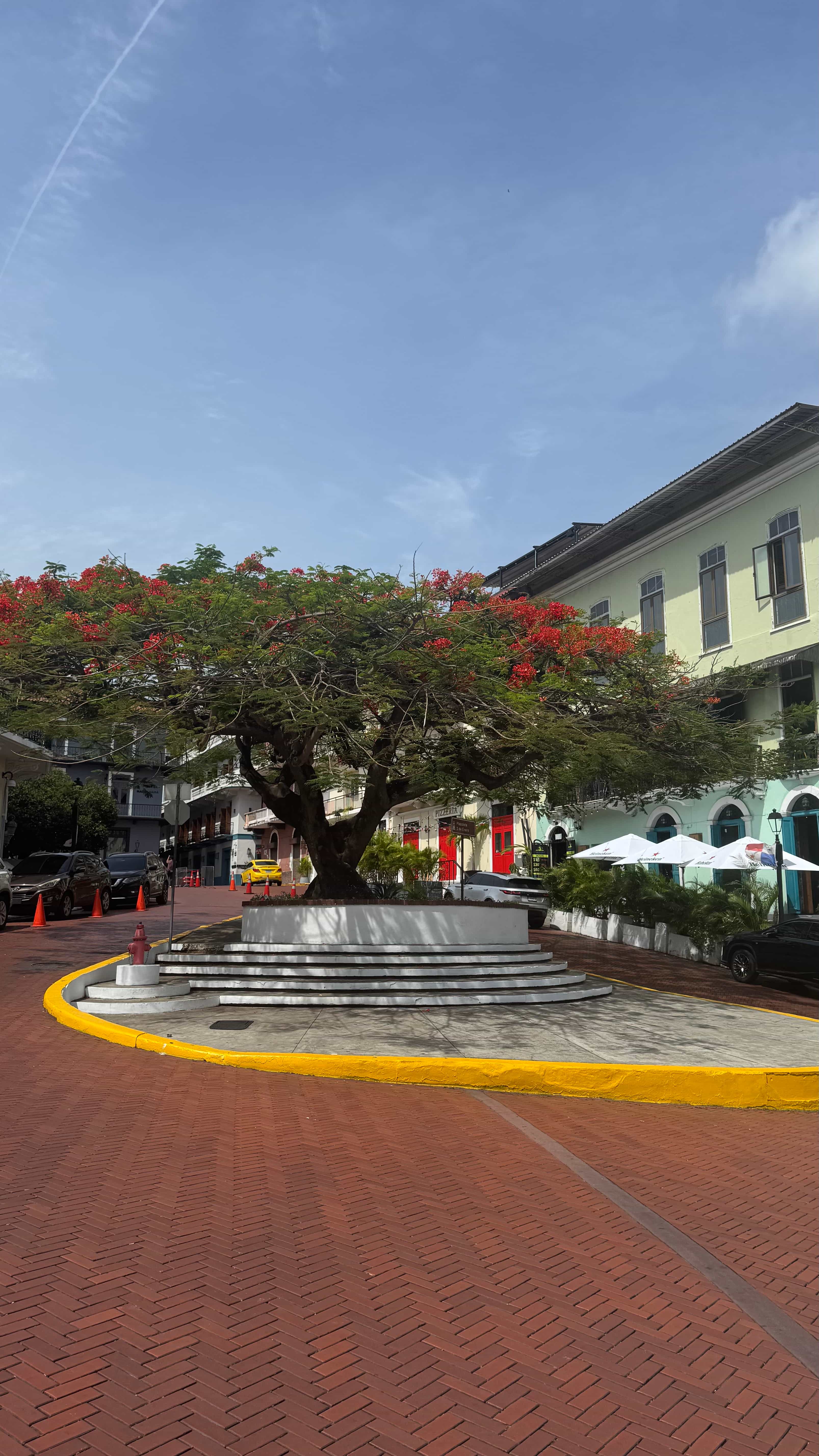 Photo 19 from Panama
