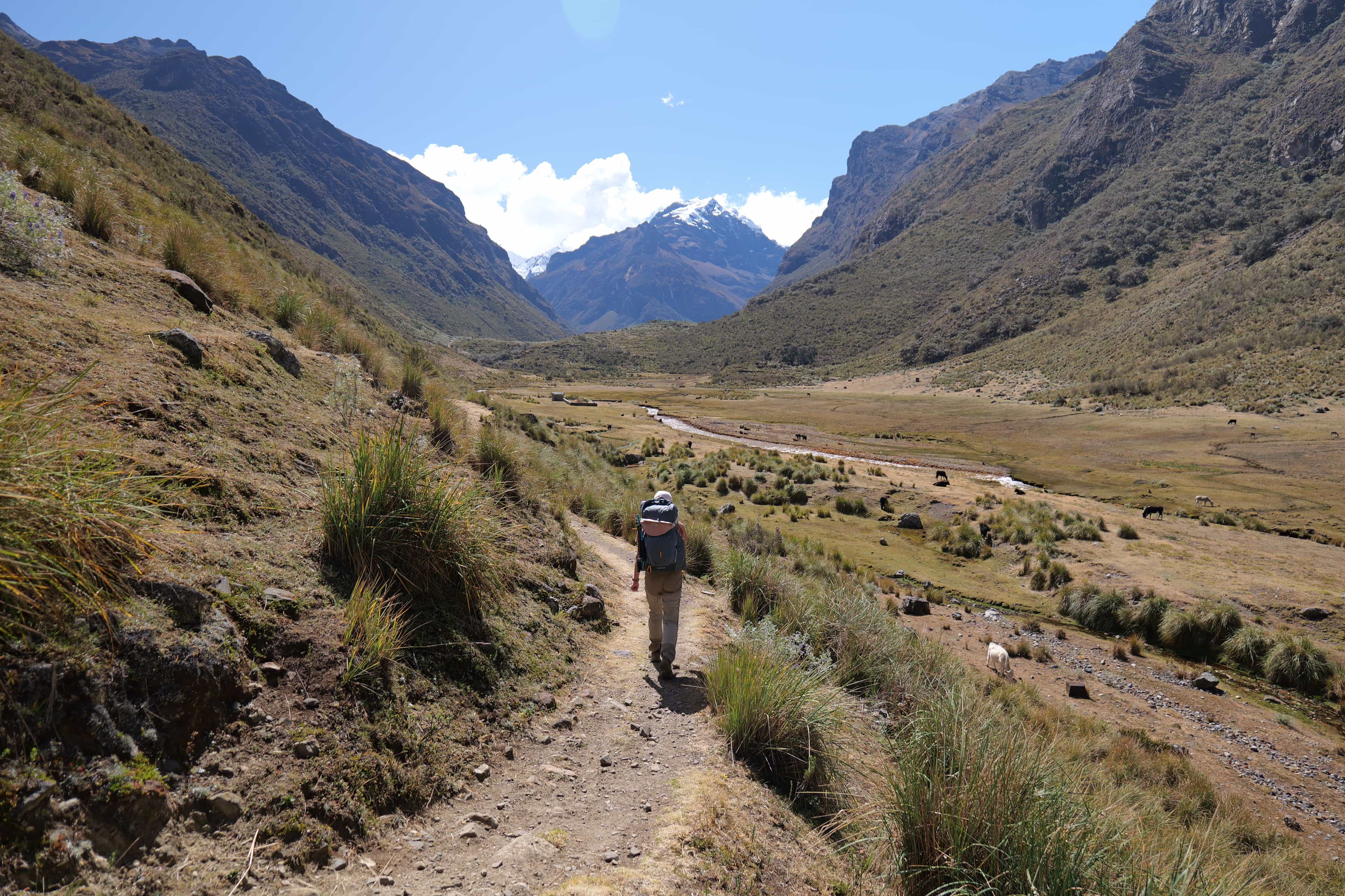 Photo 25 from Peru