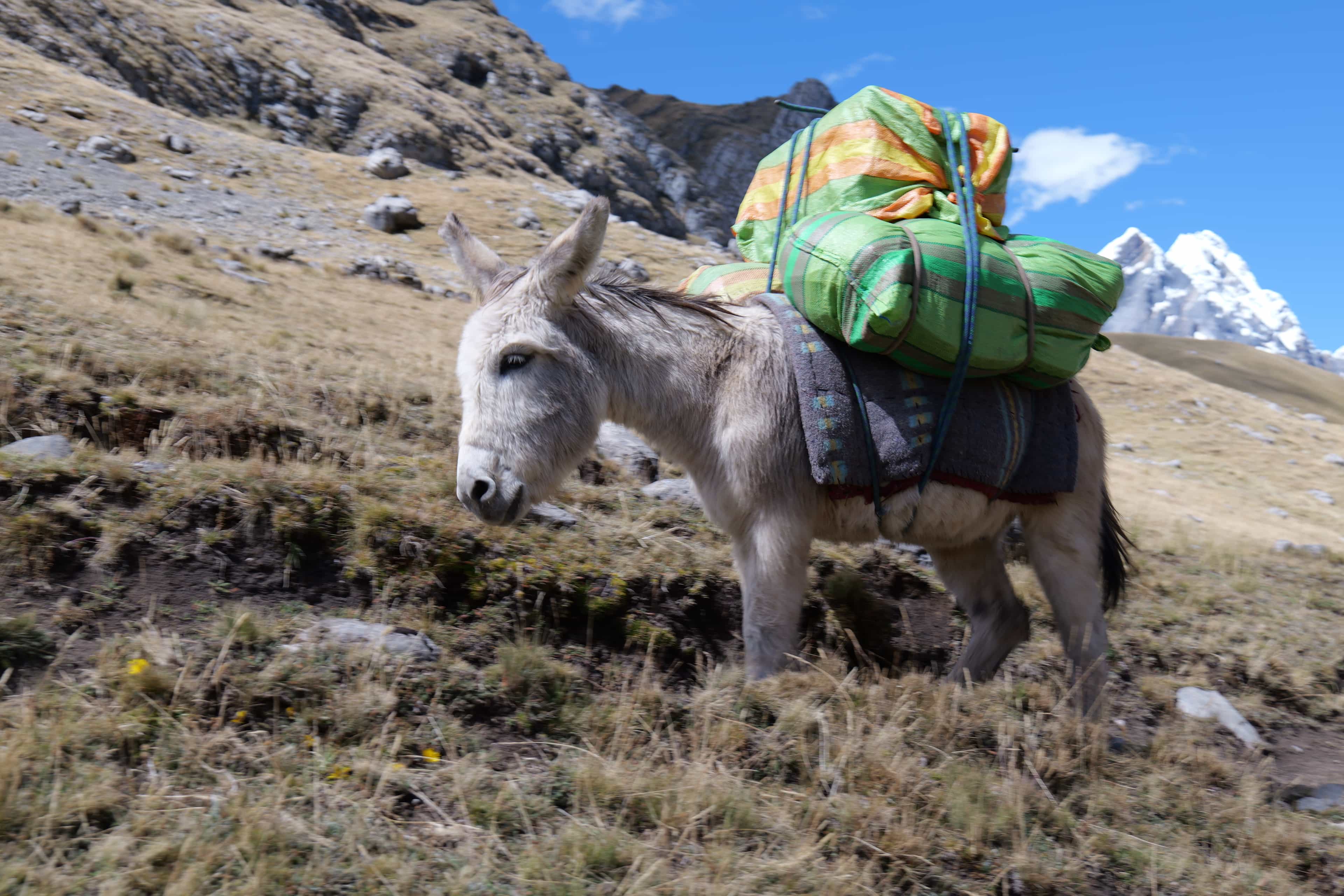 Photo 77 from Peru