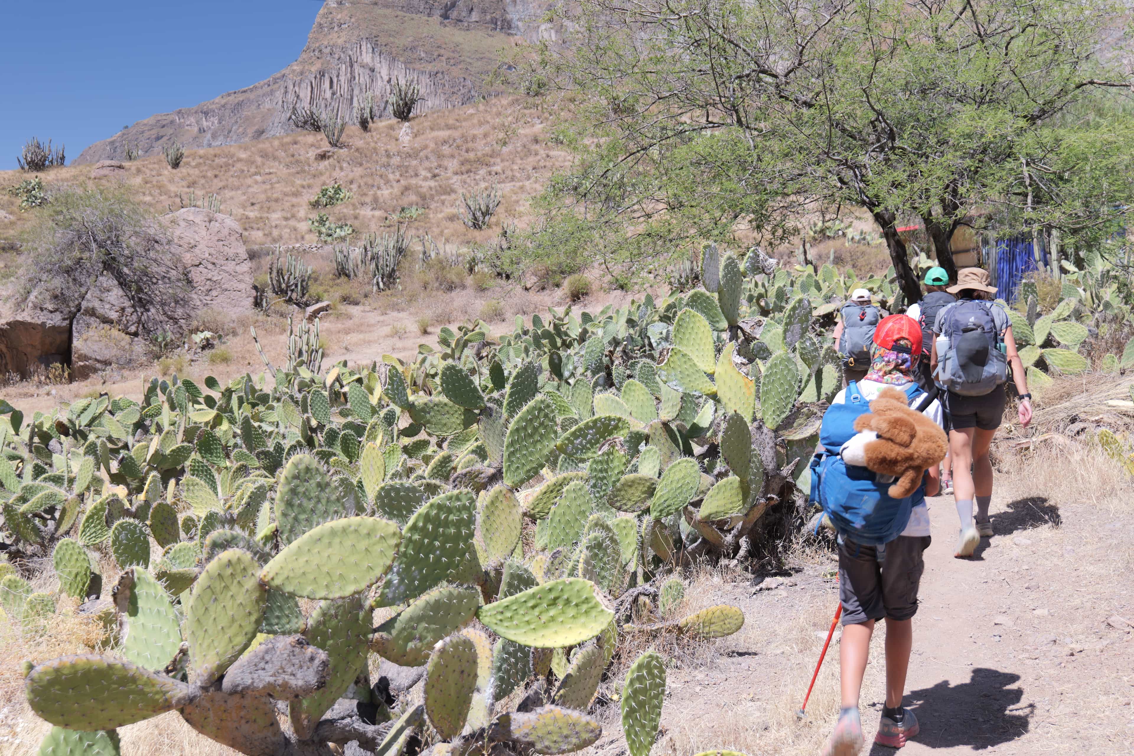 Photo 361 from Peru