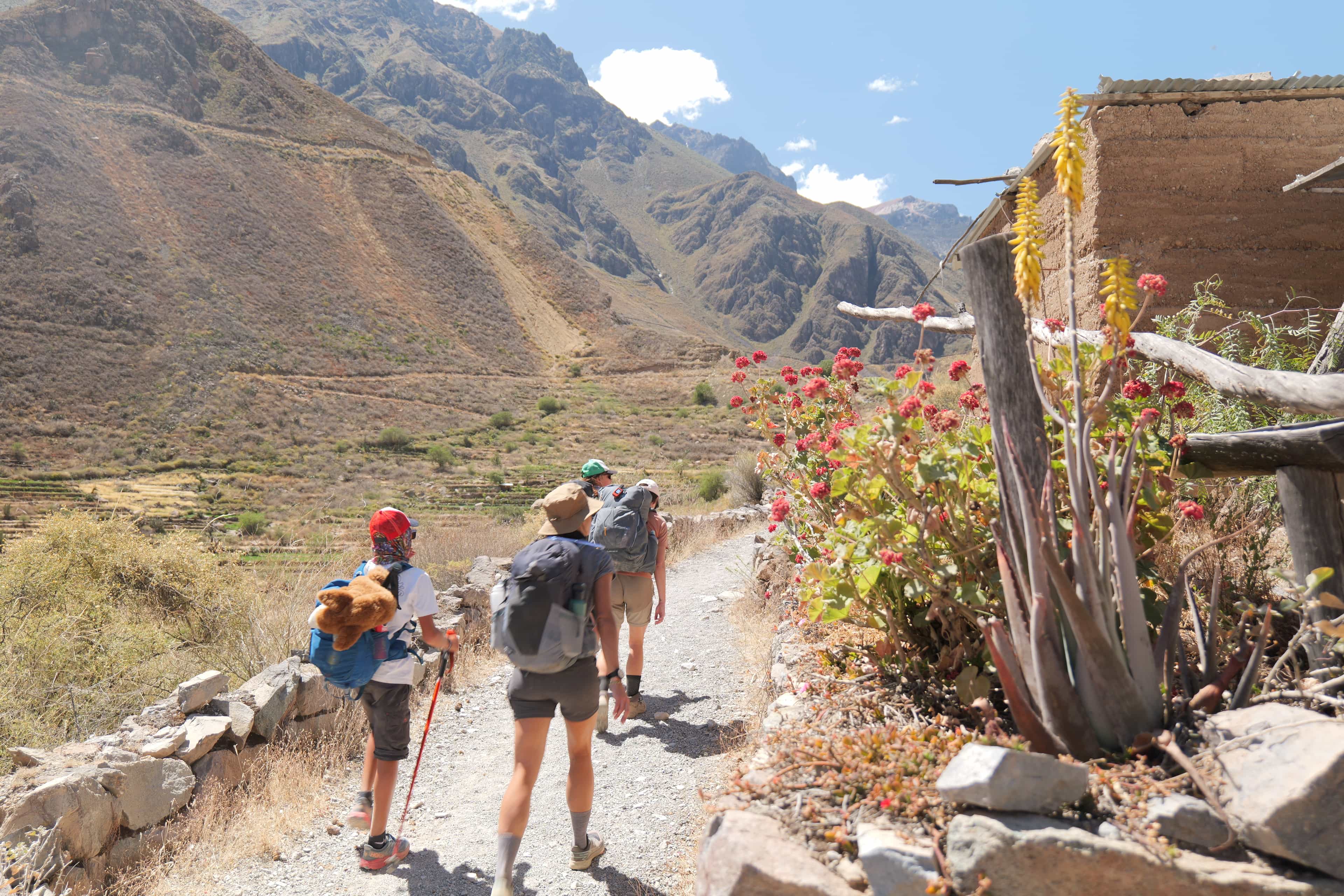 Photo 362 from Peru