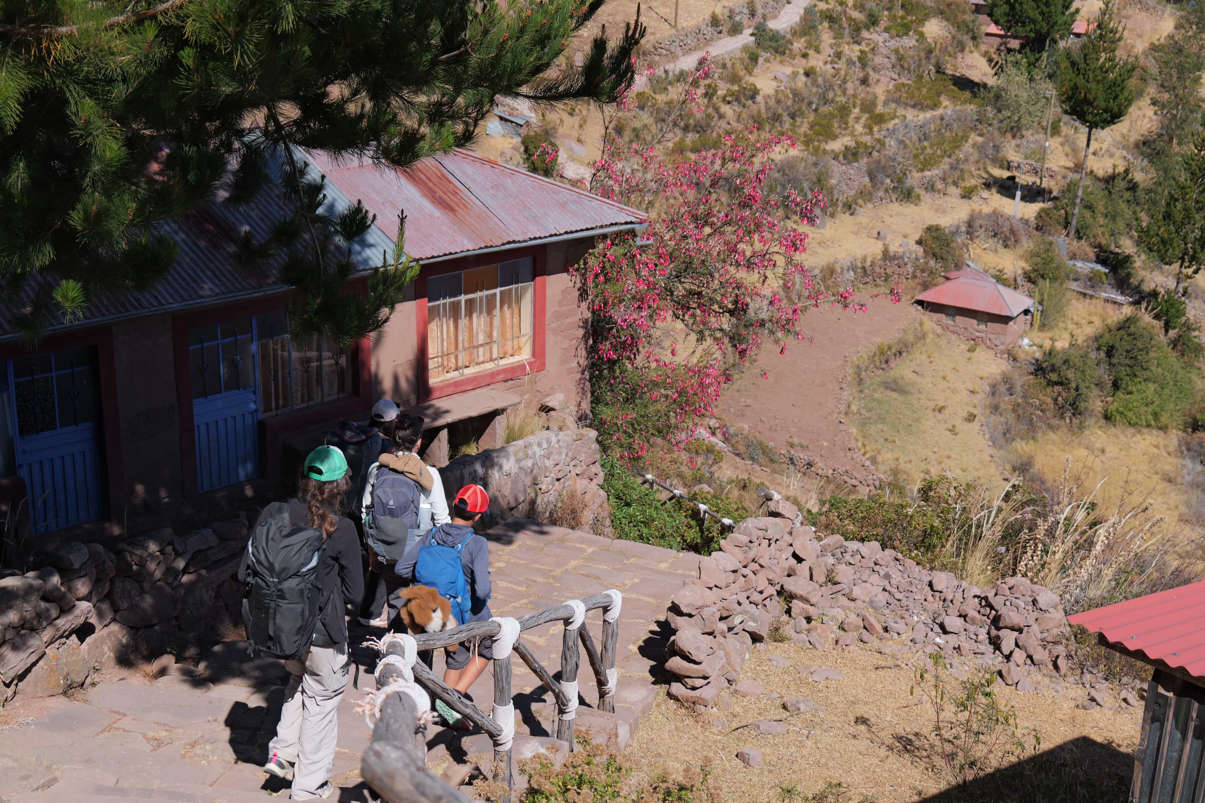 Photo 464 from Peru
