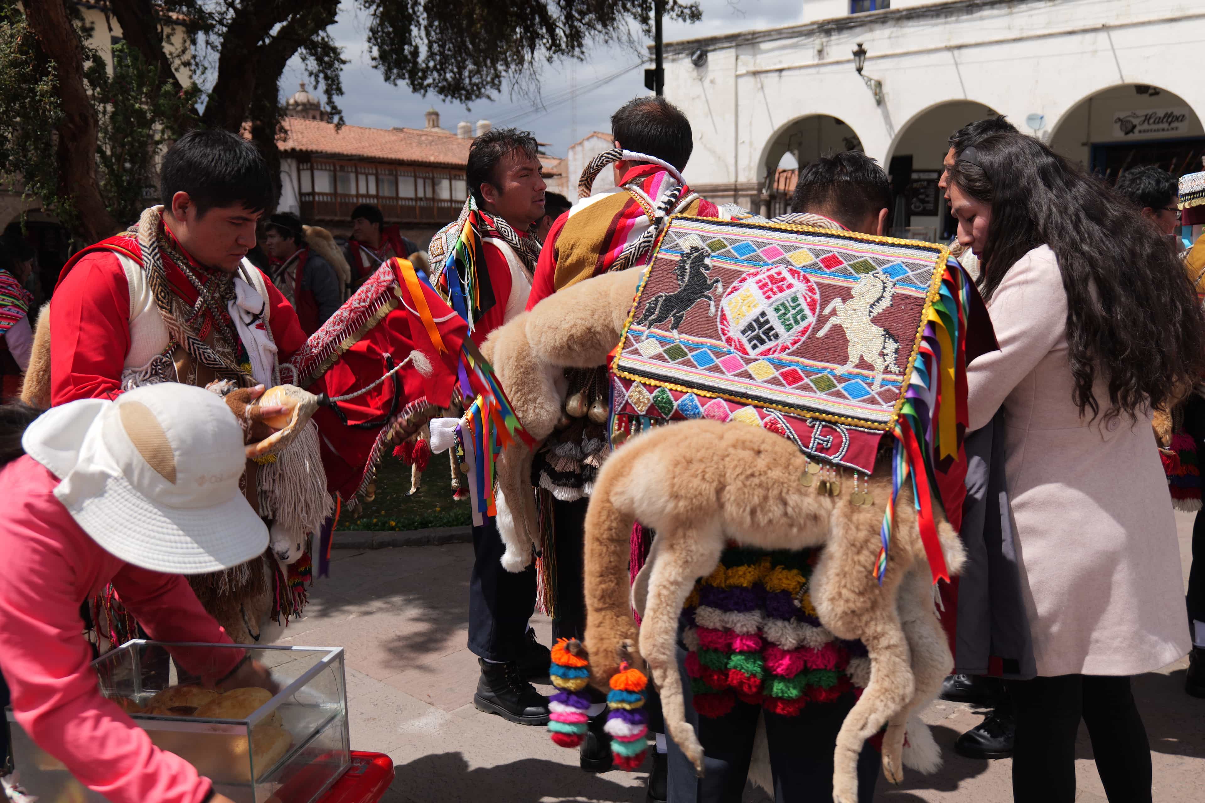 Photo 501 from Peru
