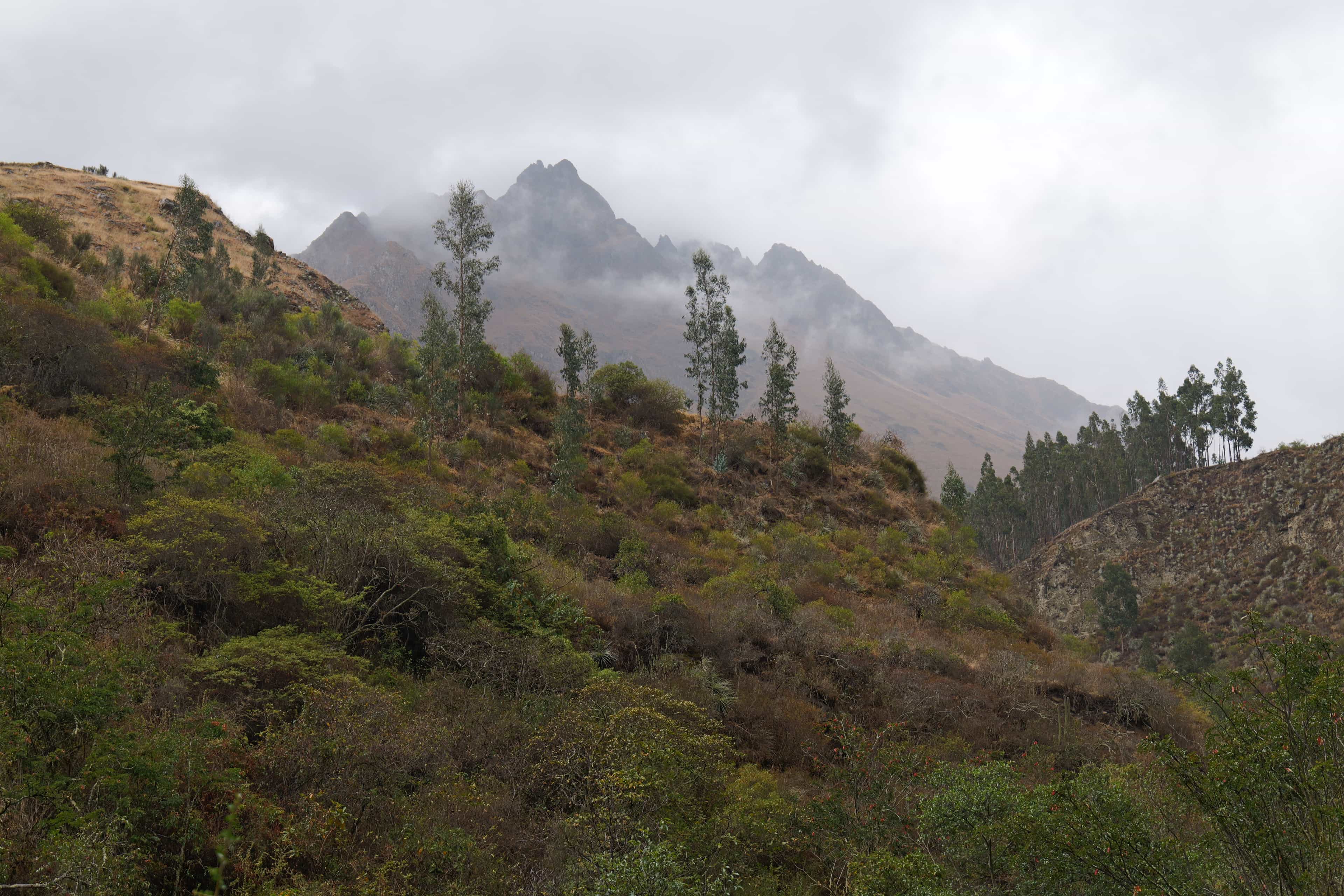 Photo 528 from Peru