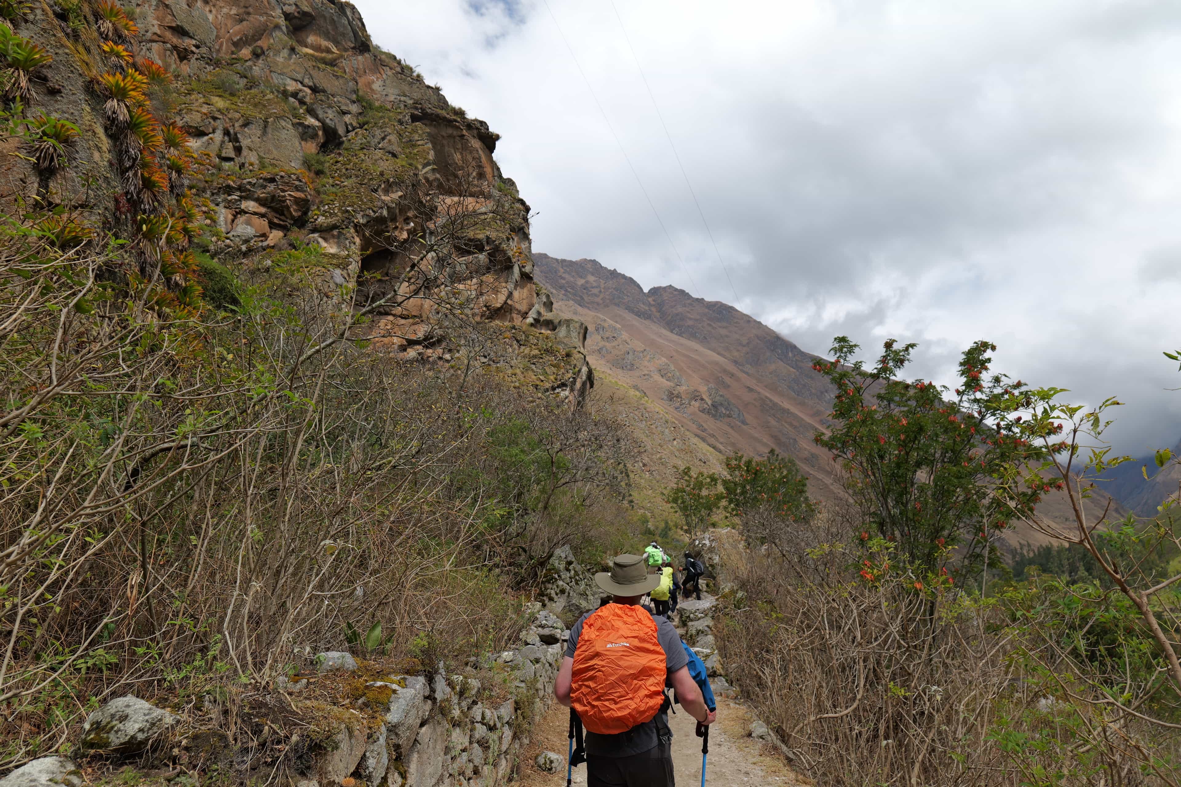 Photo 539 from Peru