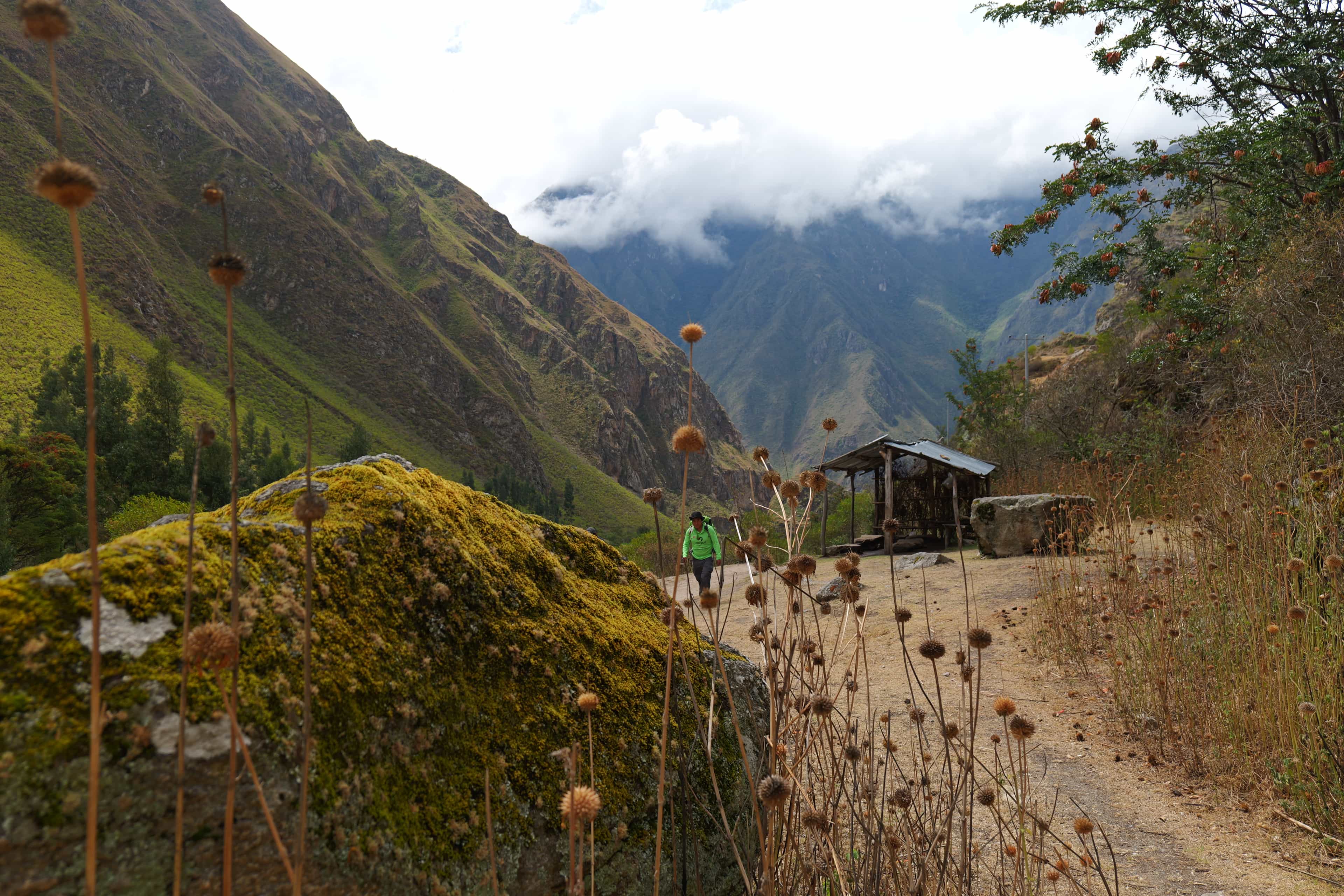 Photo 540 from Peru