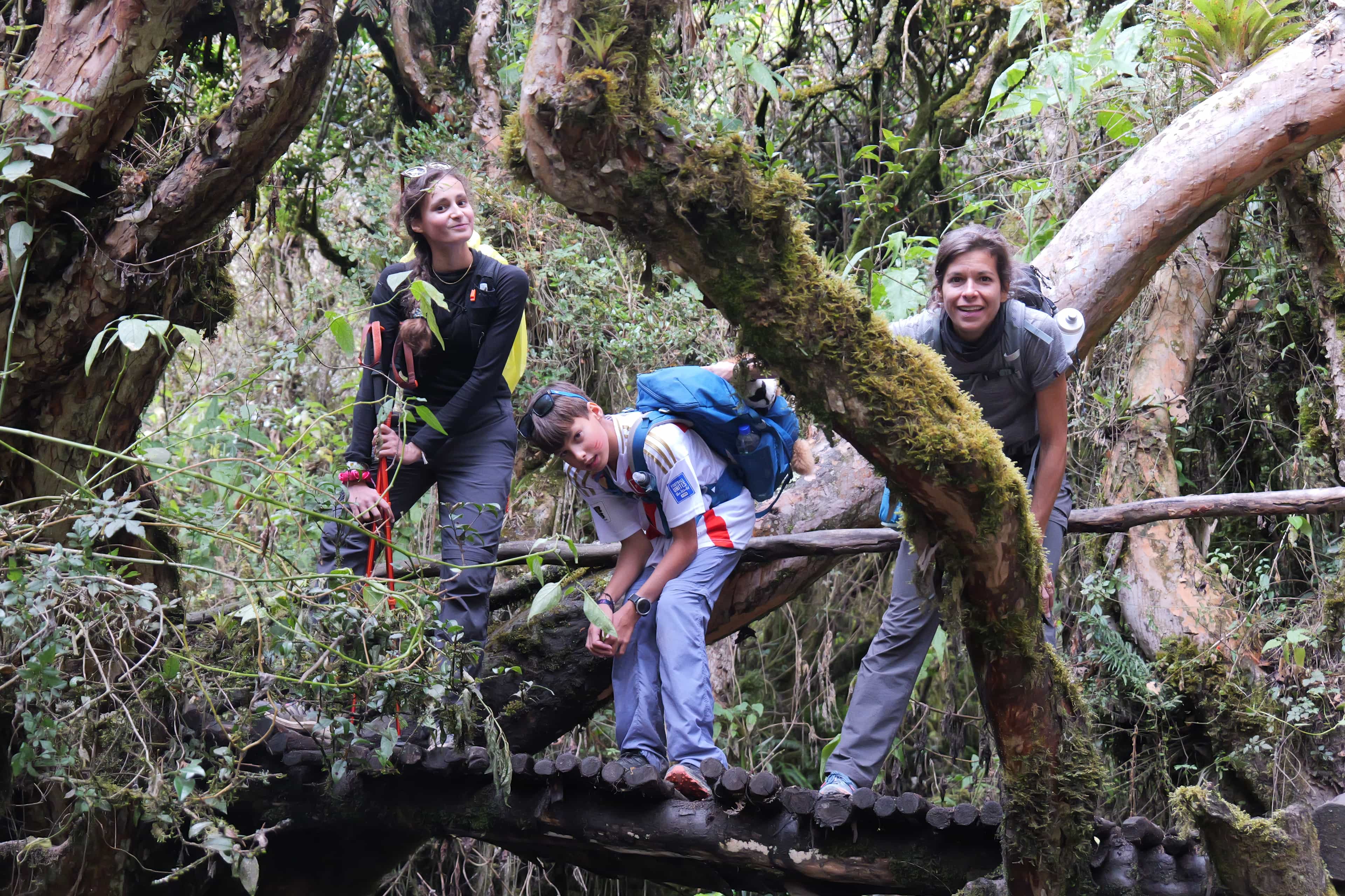 Photo 544 from Peru