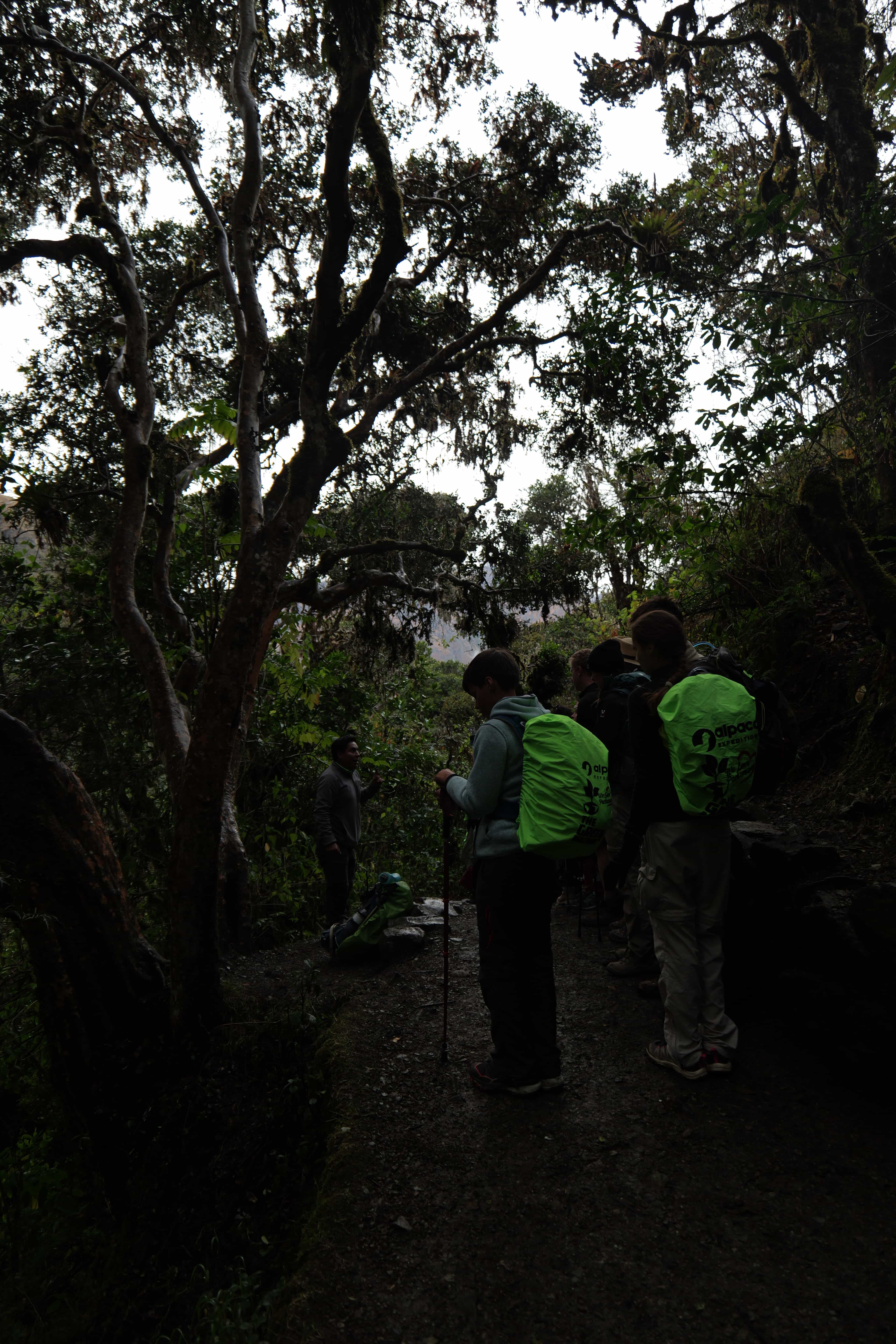 Photo 555 from Peru