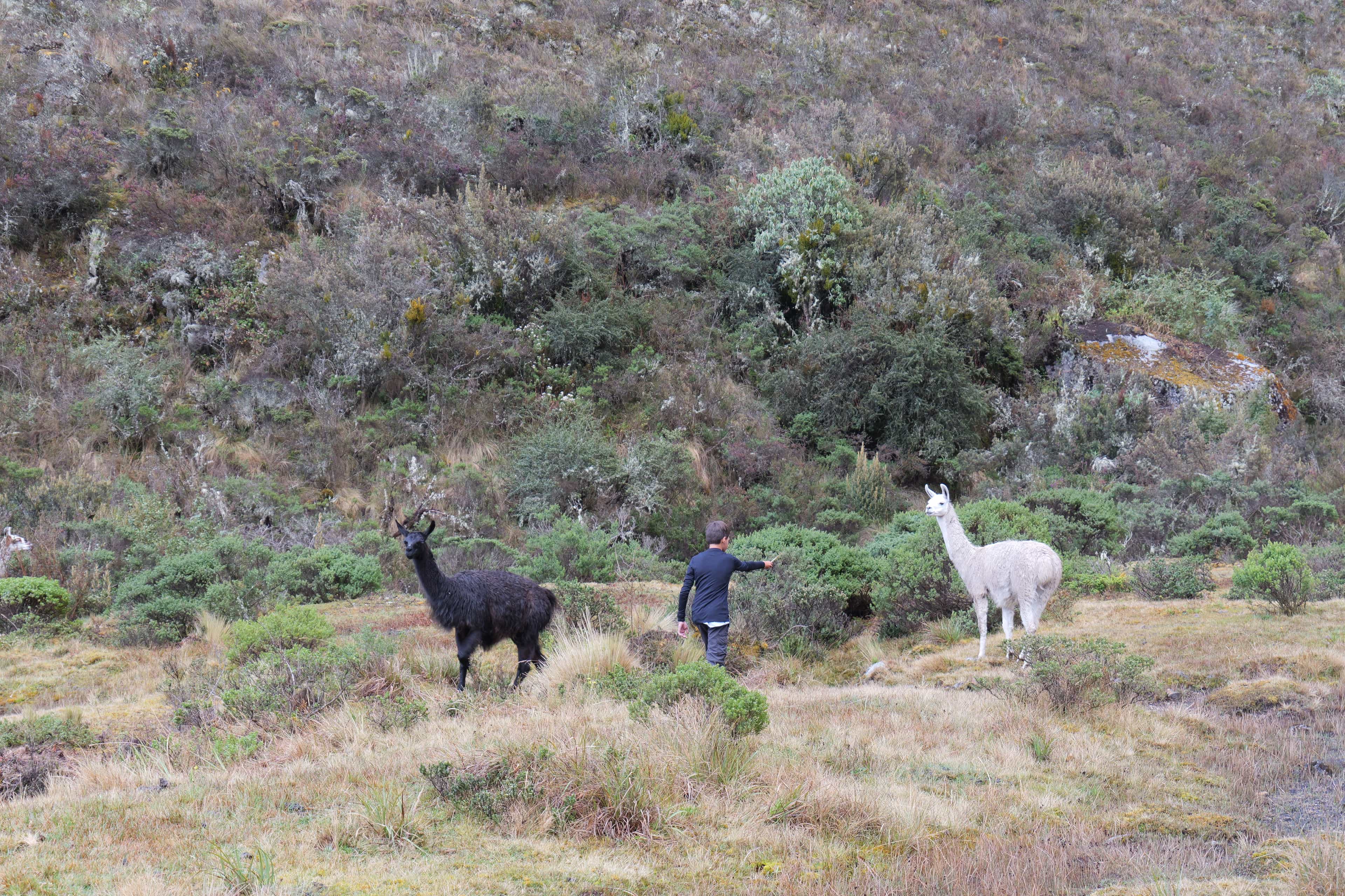 Photo 560 from Peru