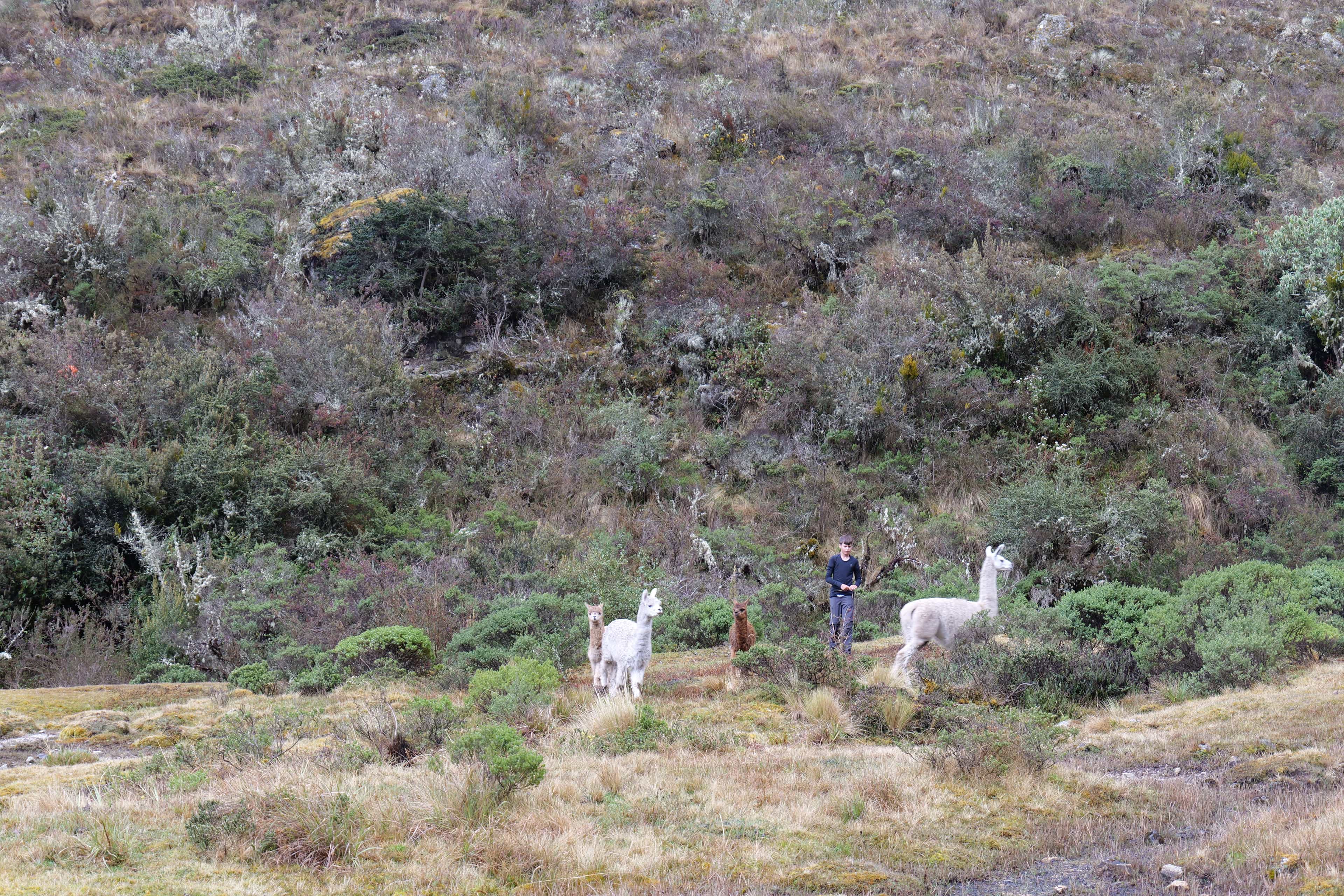 Photo 562 from Peru