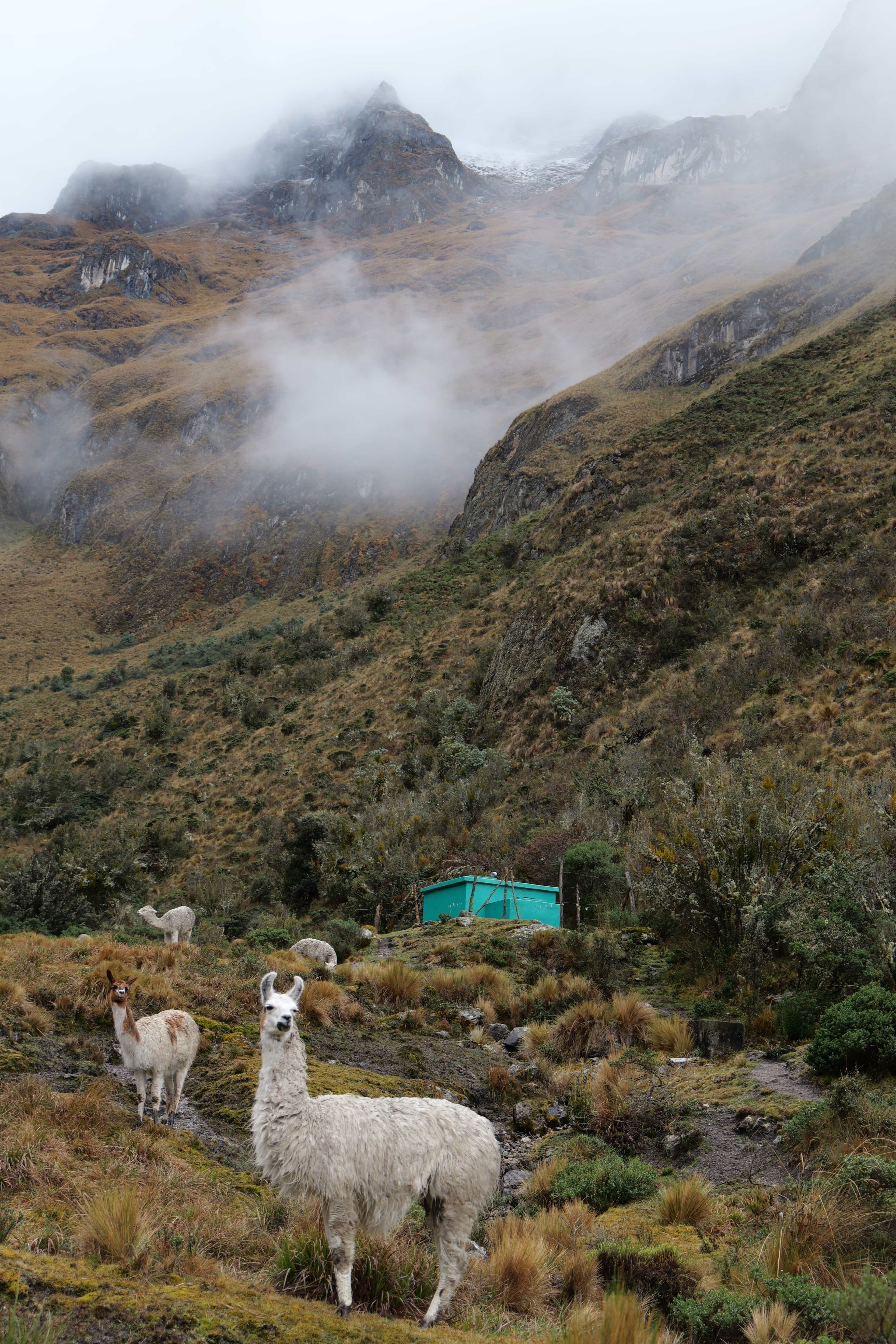 Photo 564 from Peru